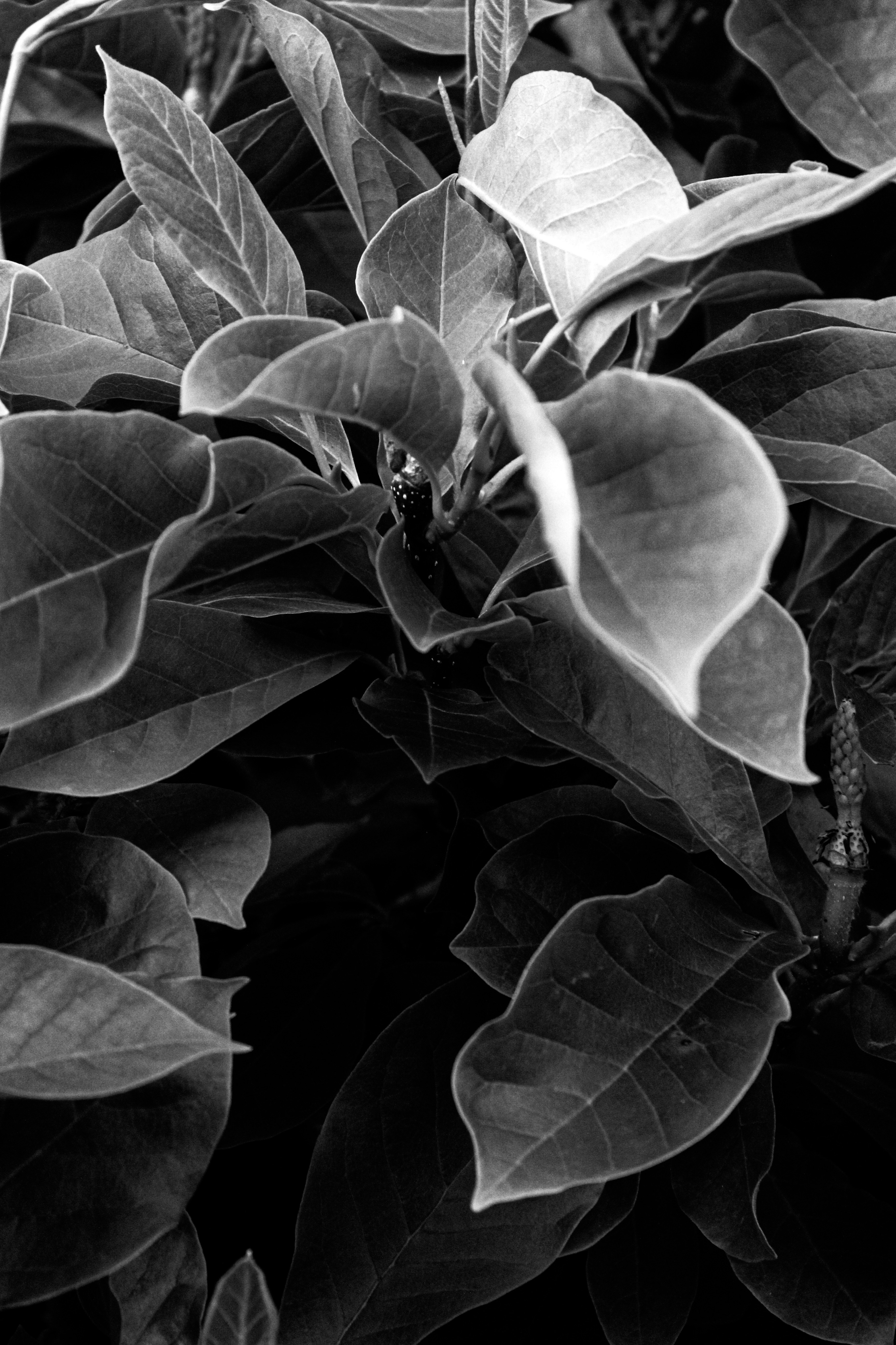 Photo by focalinsight