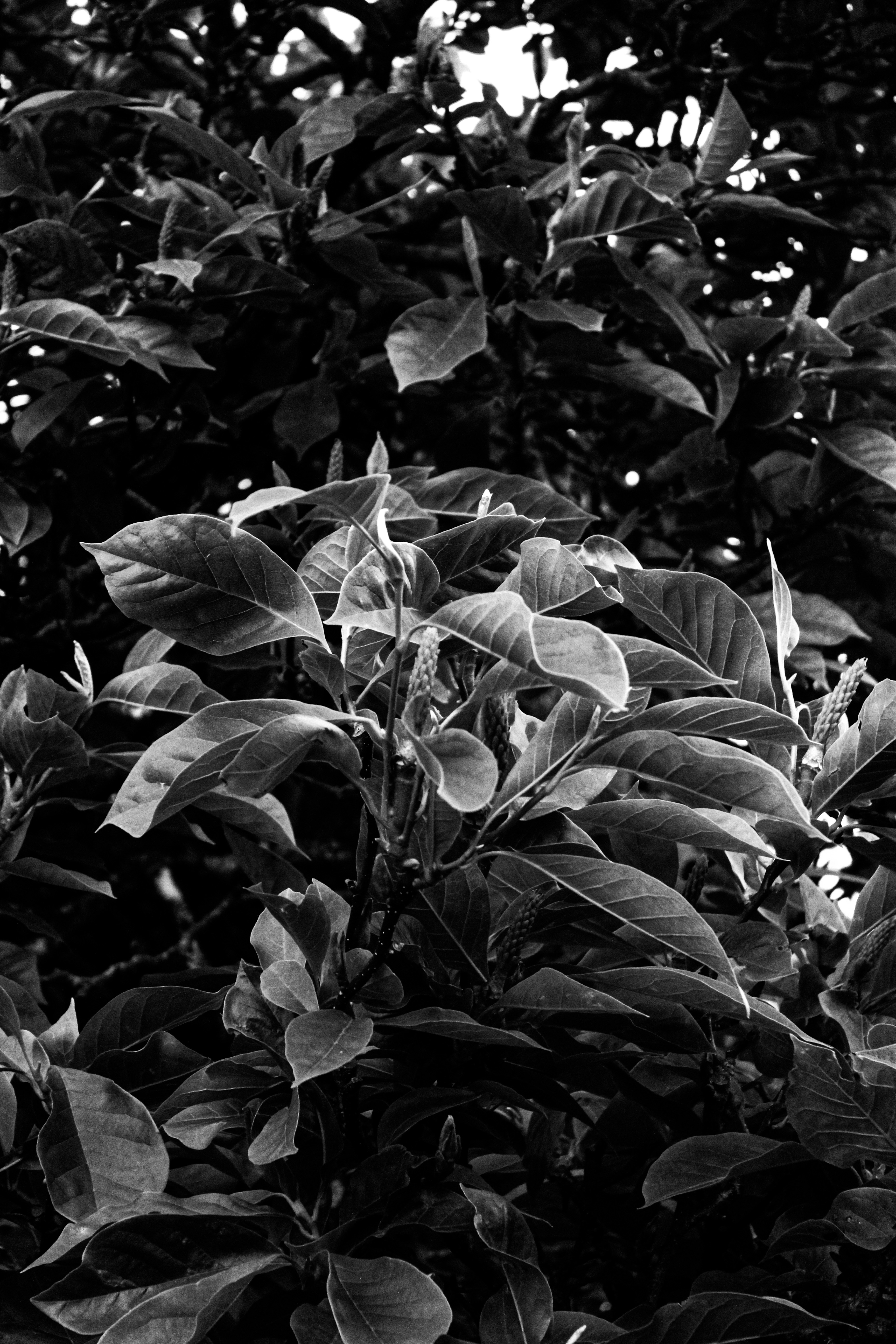 Photo by focalinsight