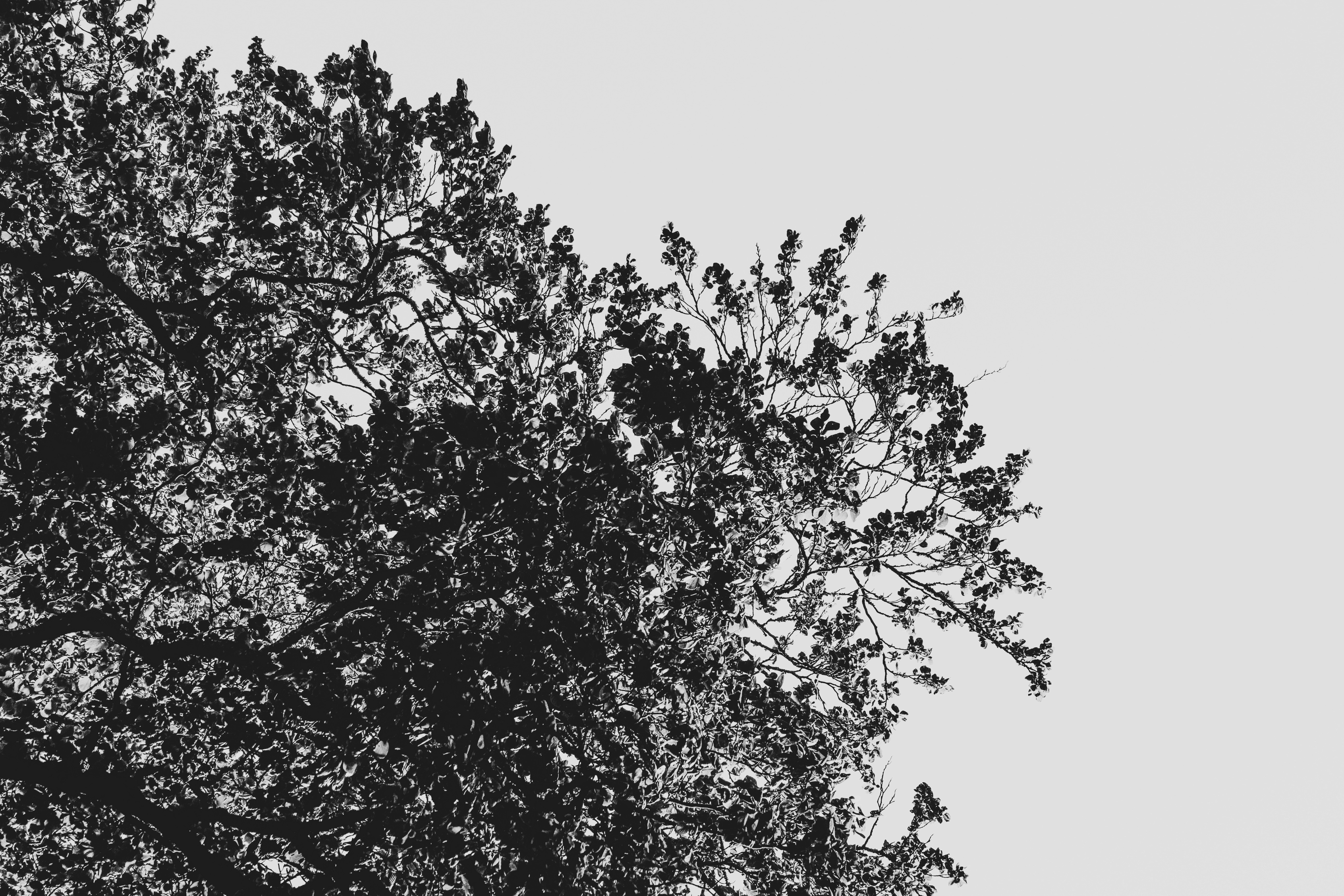 Photo by focalinsight