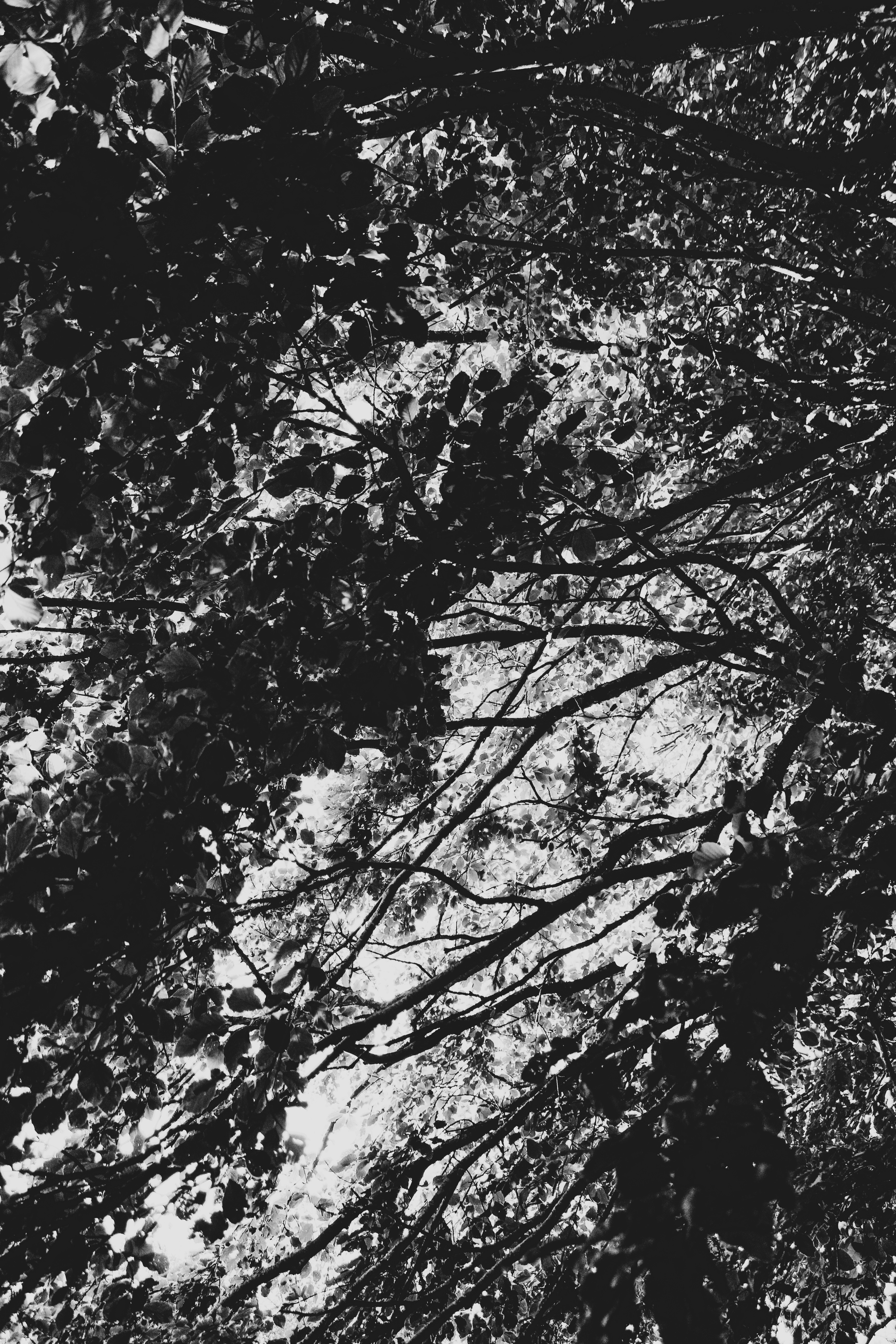 Photo by focalinsight