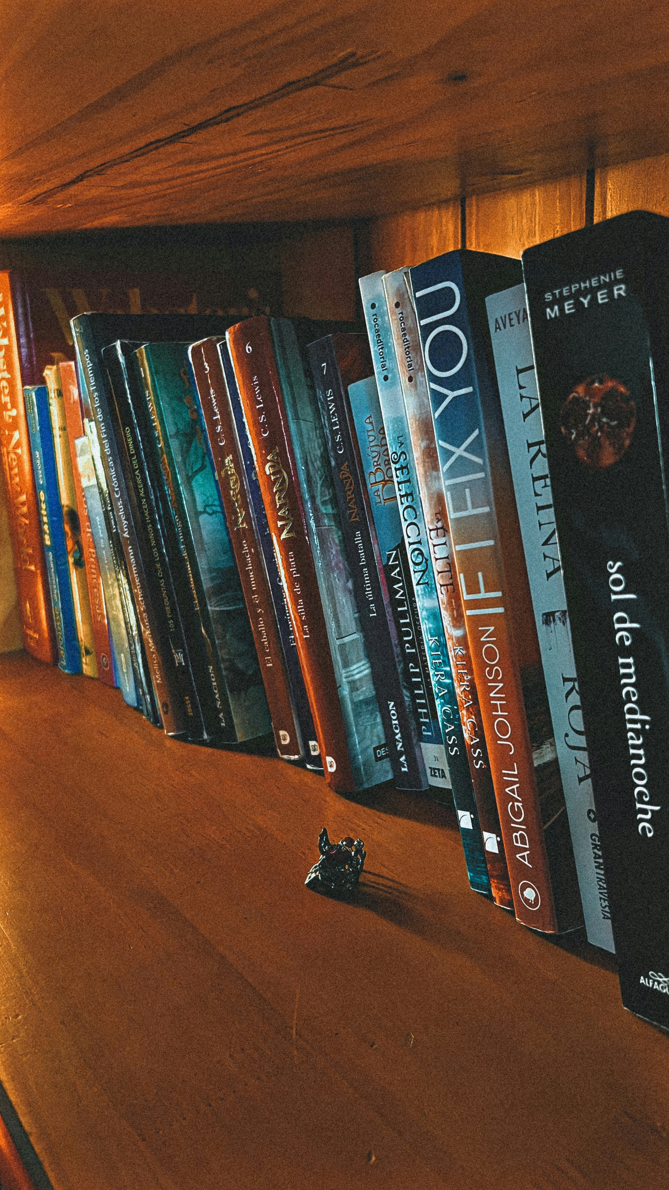 Row of hardcover books on shelf with earthy tones, natural wood bookshelf, warm ambient light