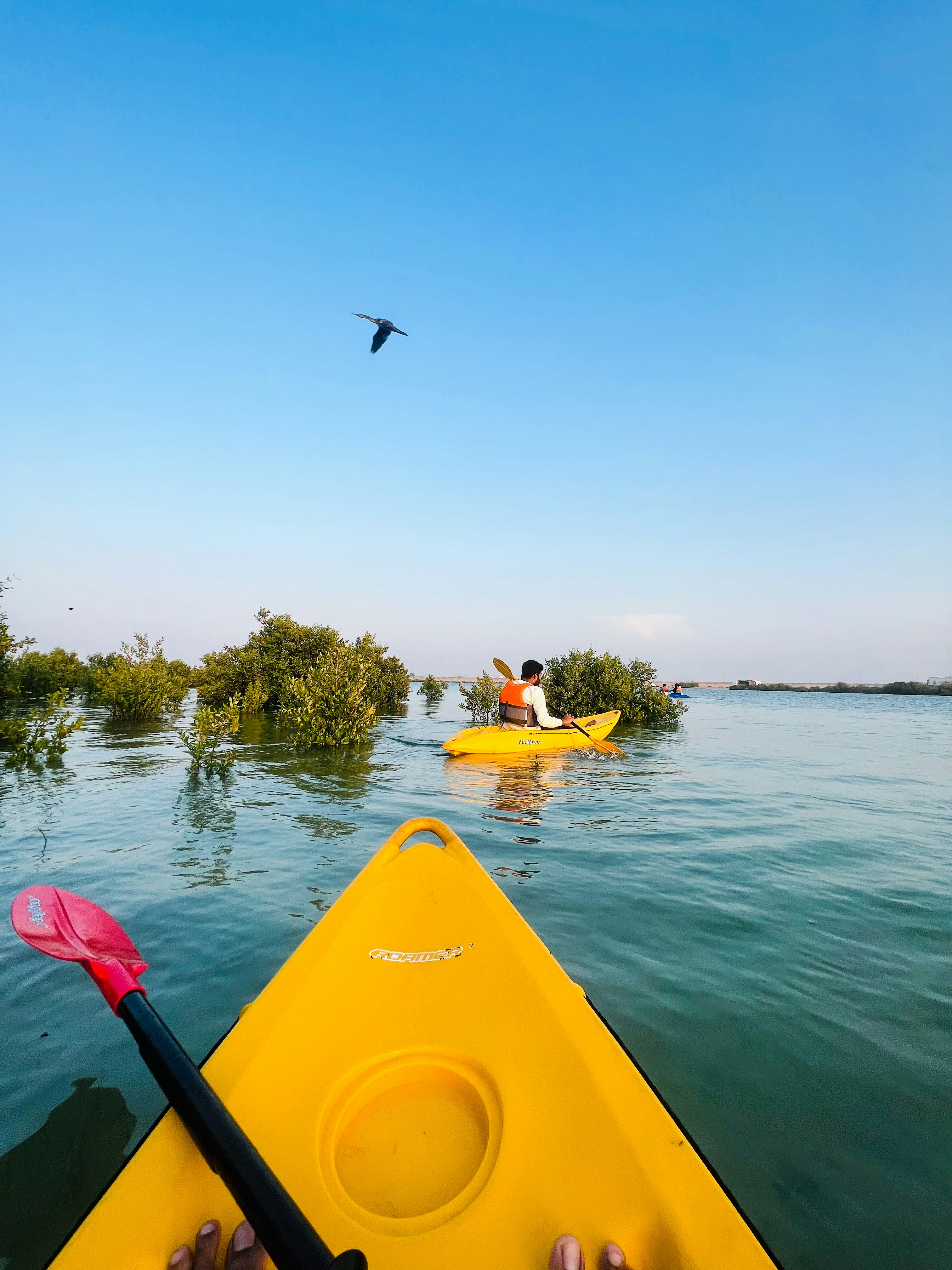 Photo by salman_sidheek