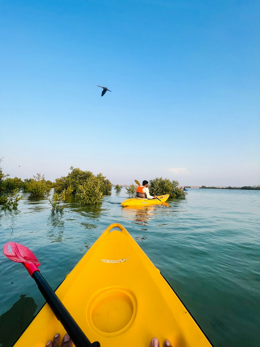 a person in a kayak in a body of water with a bird flying over it
