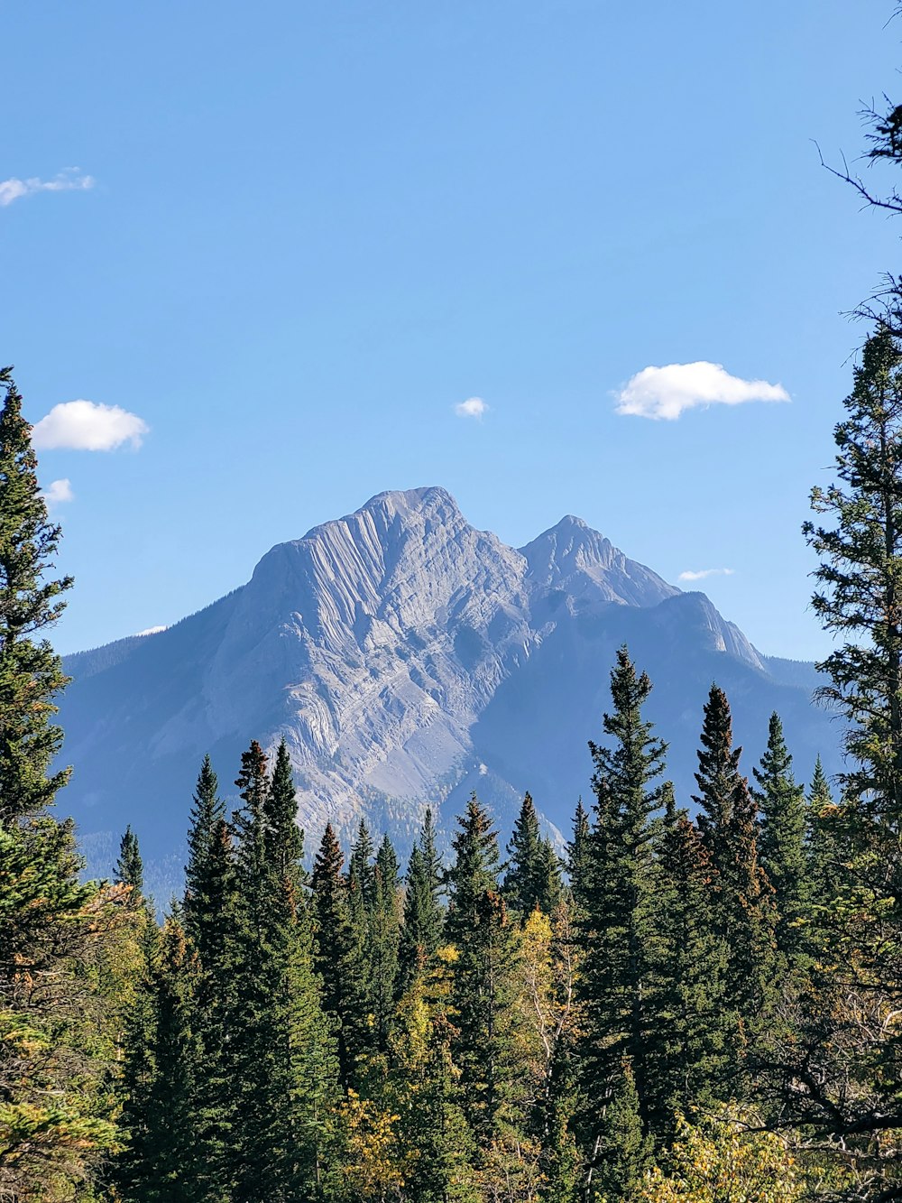 a mountain with trees in front of it