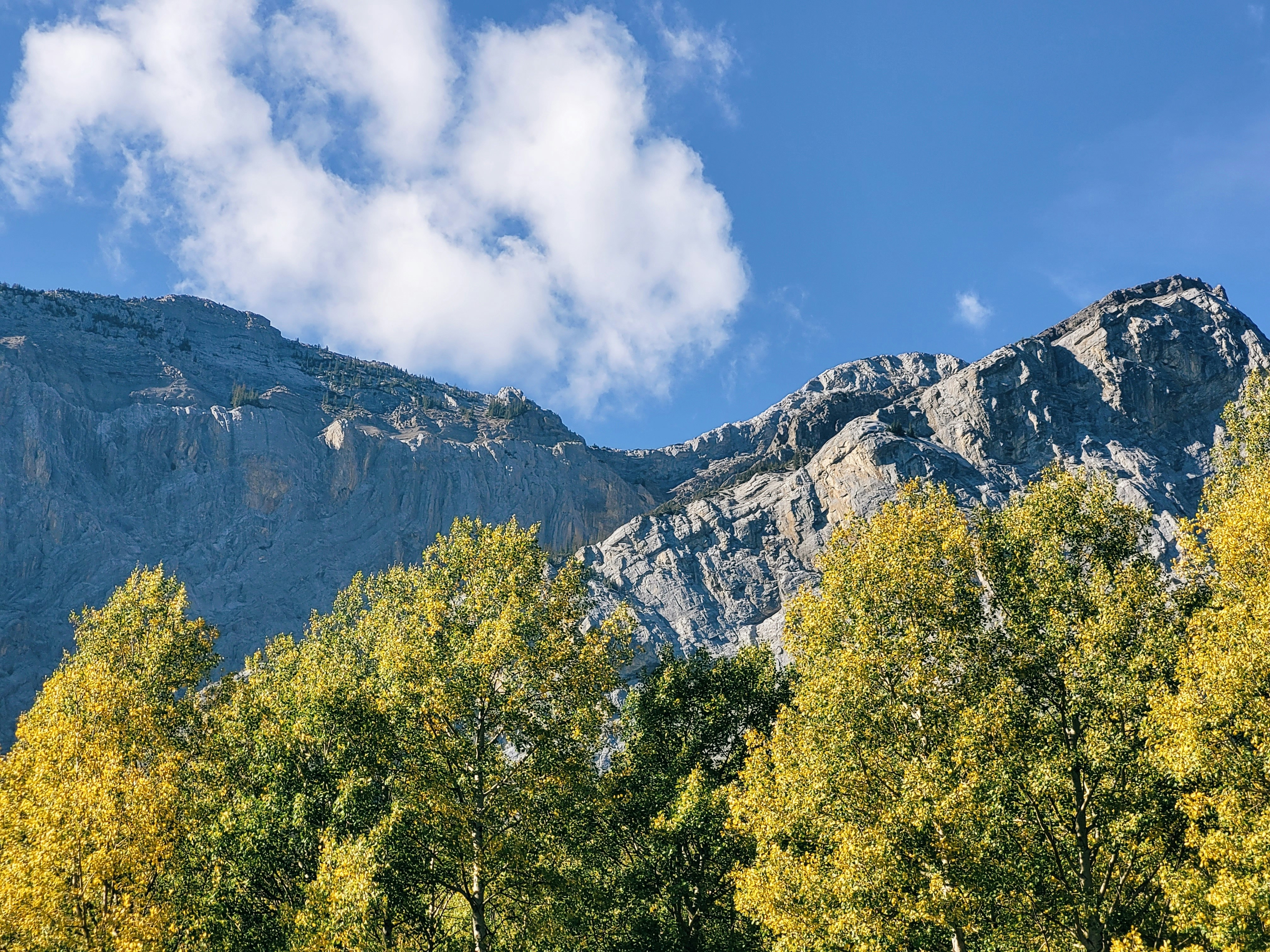 Photo by tarameinczinger