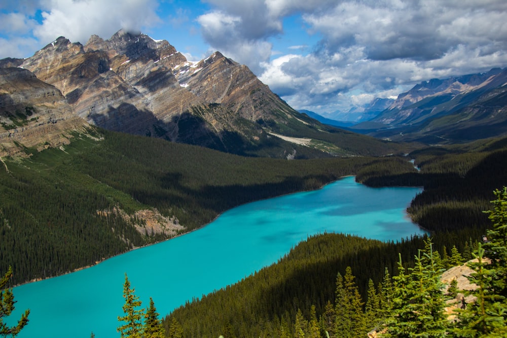 Peyto Lake surrounded by mountains