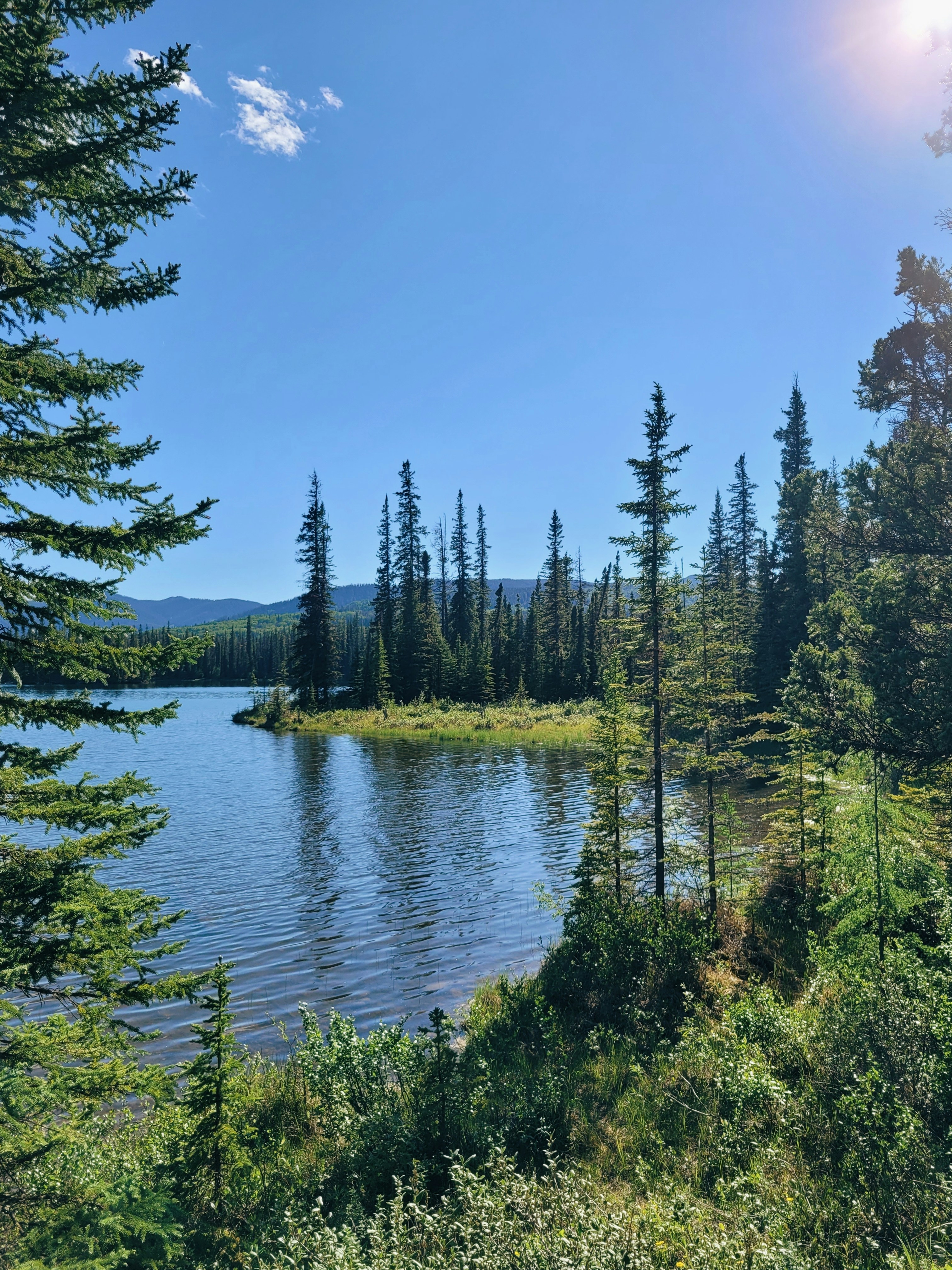 Photo by tarameinczinger