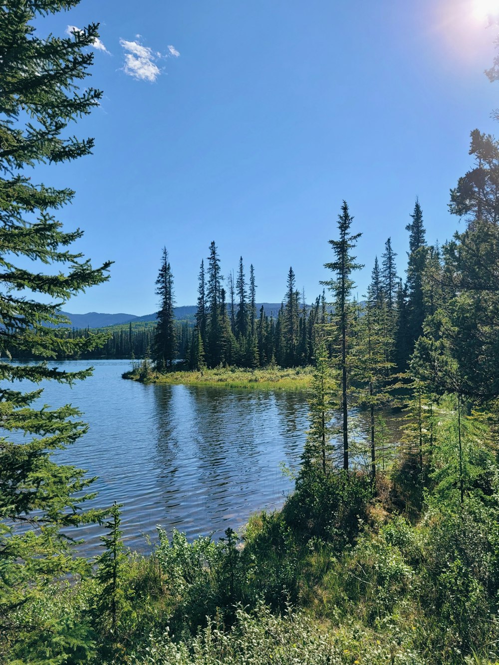 a body of water surrounded by trees