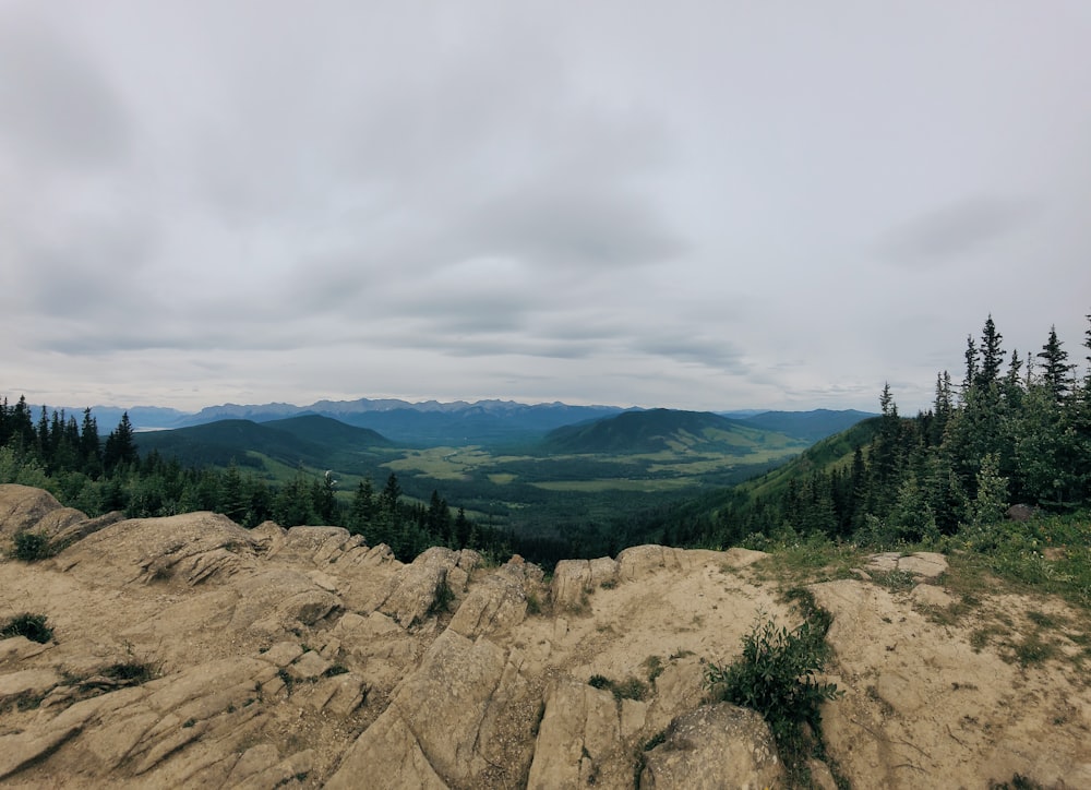 a rocky landscape with trees and mountains in the background