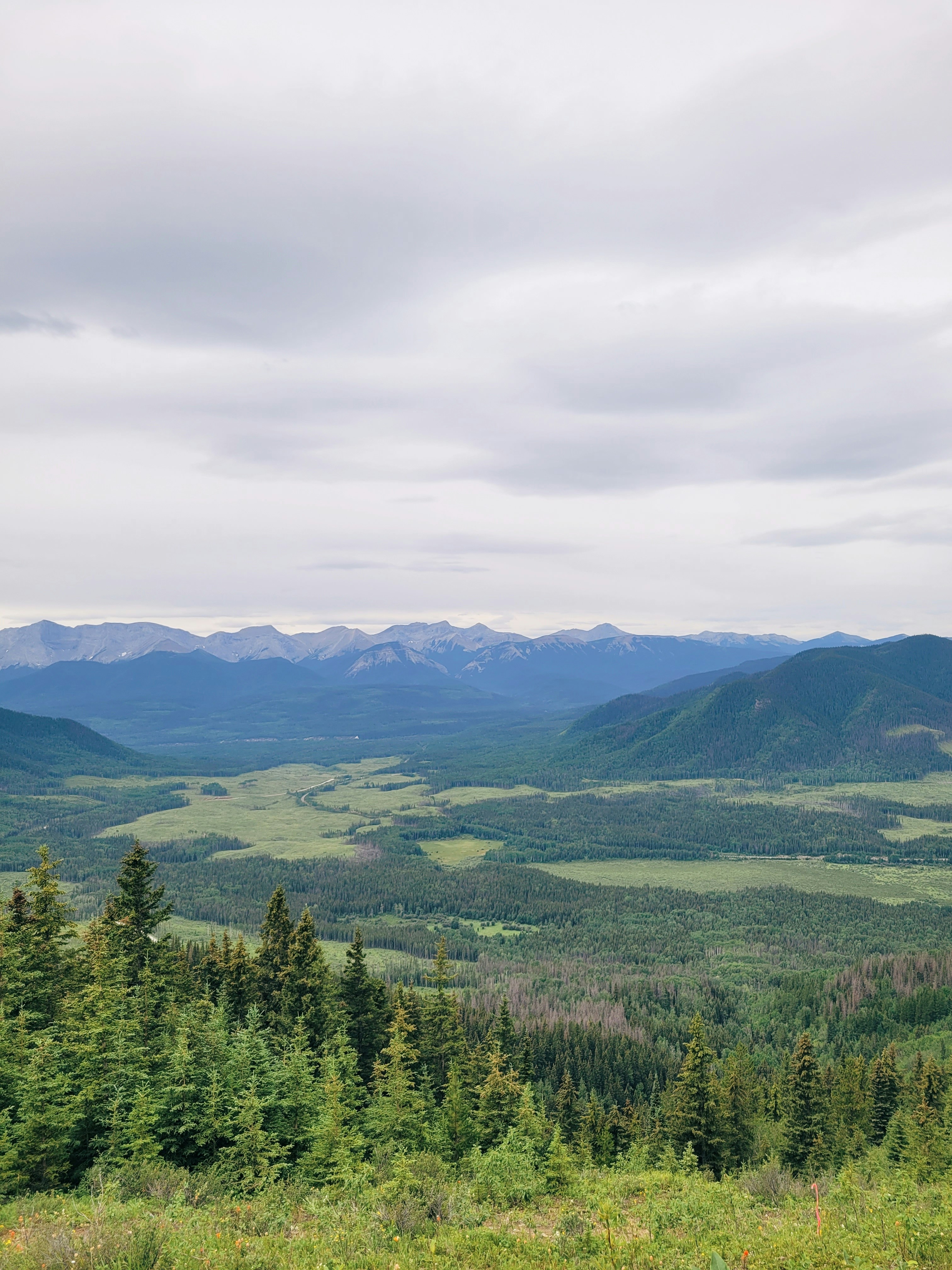 Photo by tarameinczinger