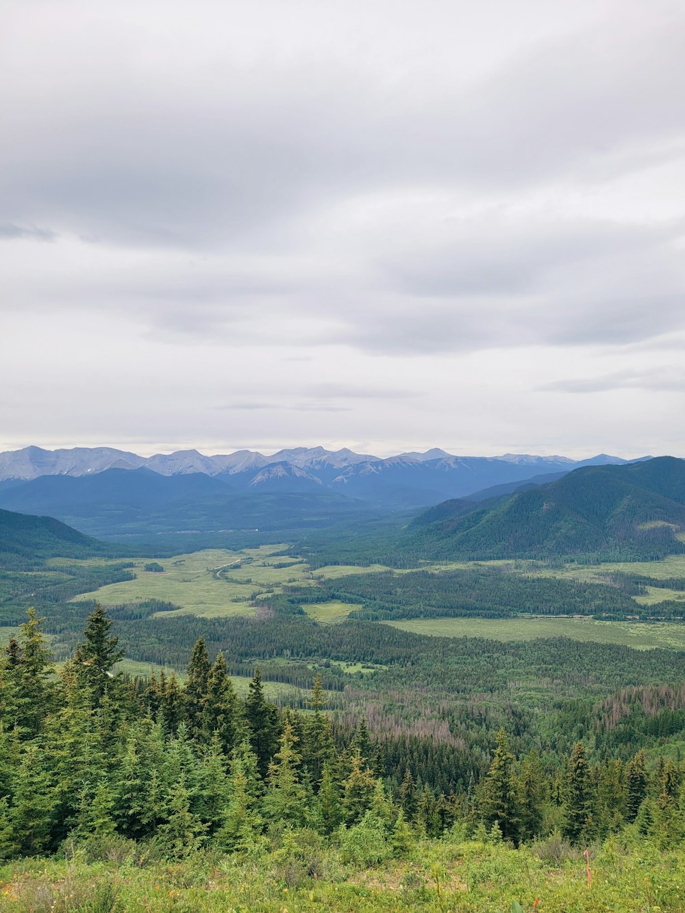 a landscape with trees and hills