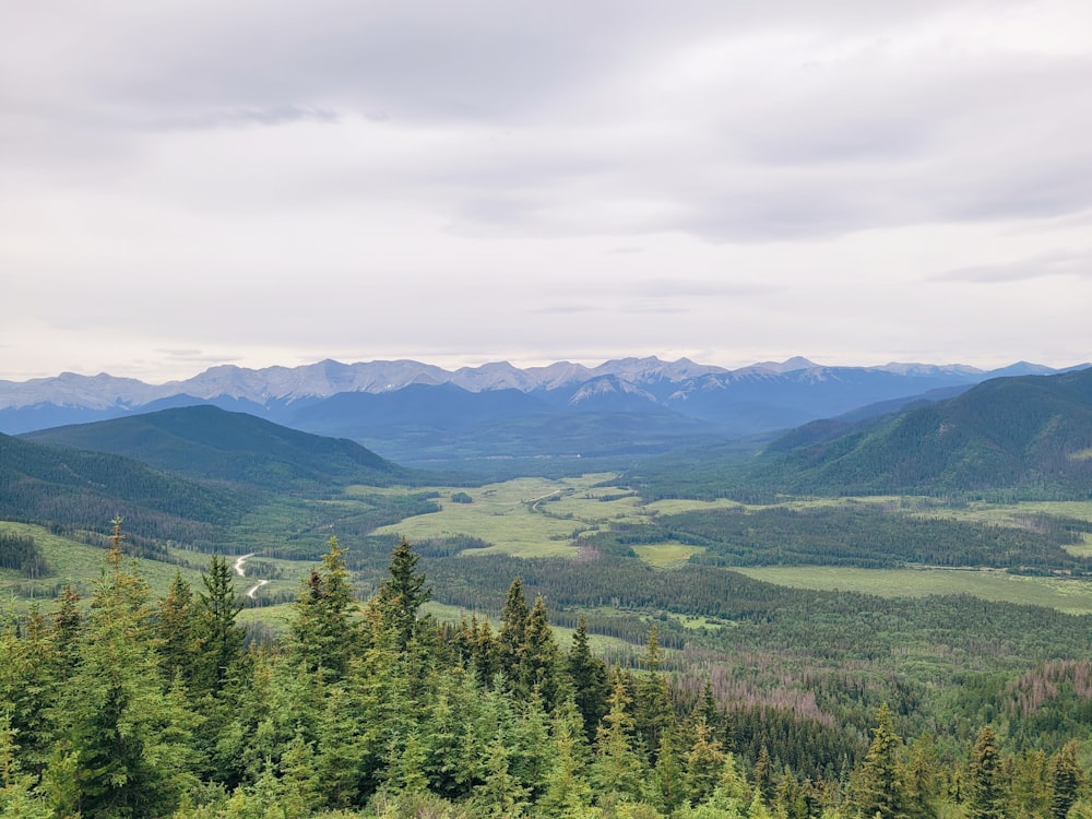 a landscape with trees and mountains in the background