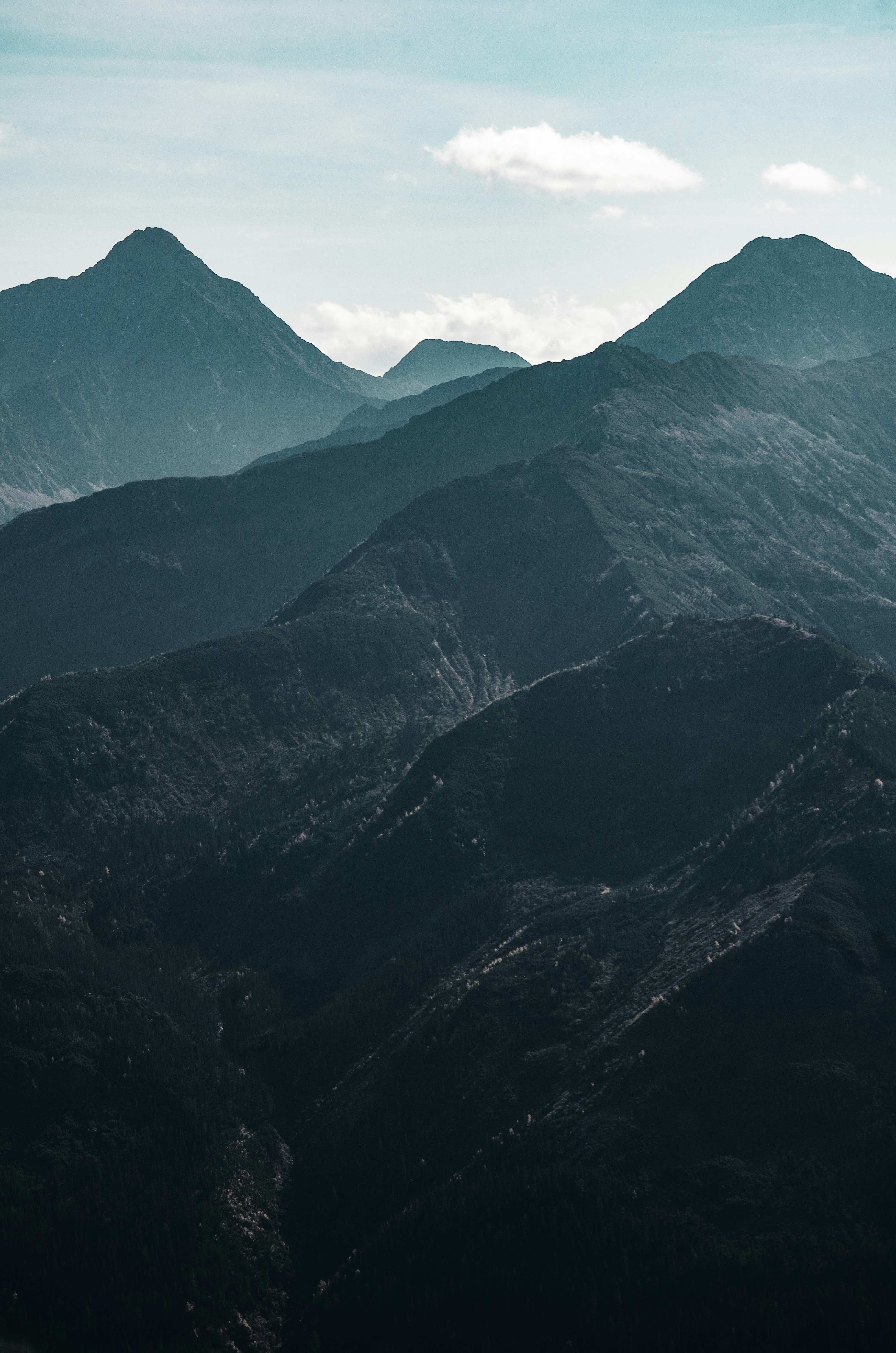 Photo by arina_dmitrieva