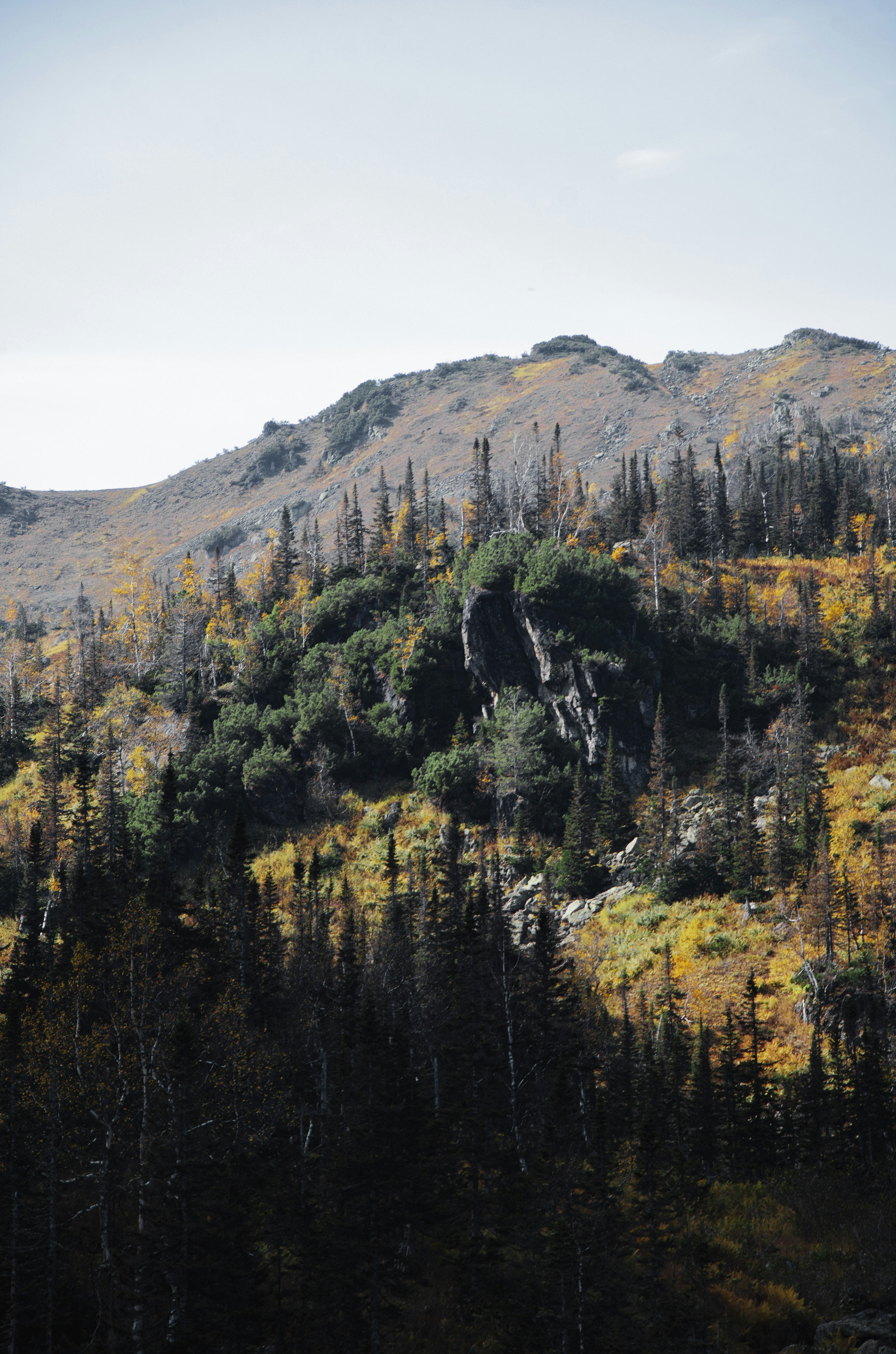 Photo by arina_dmitrieva