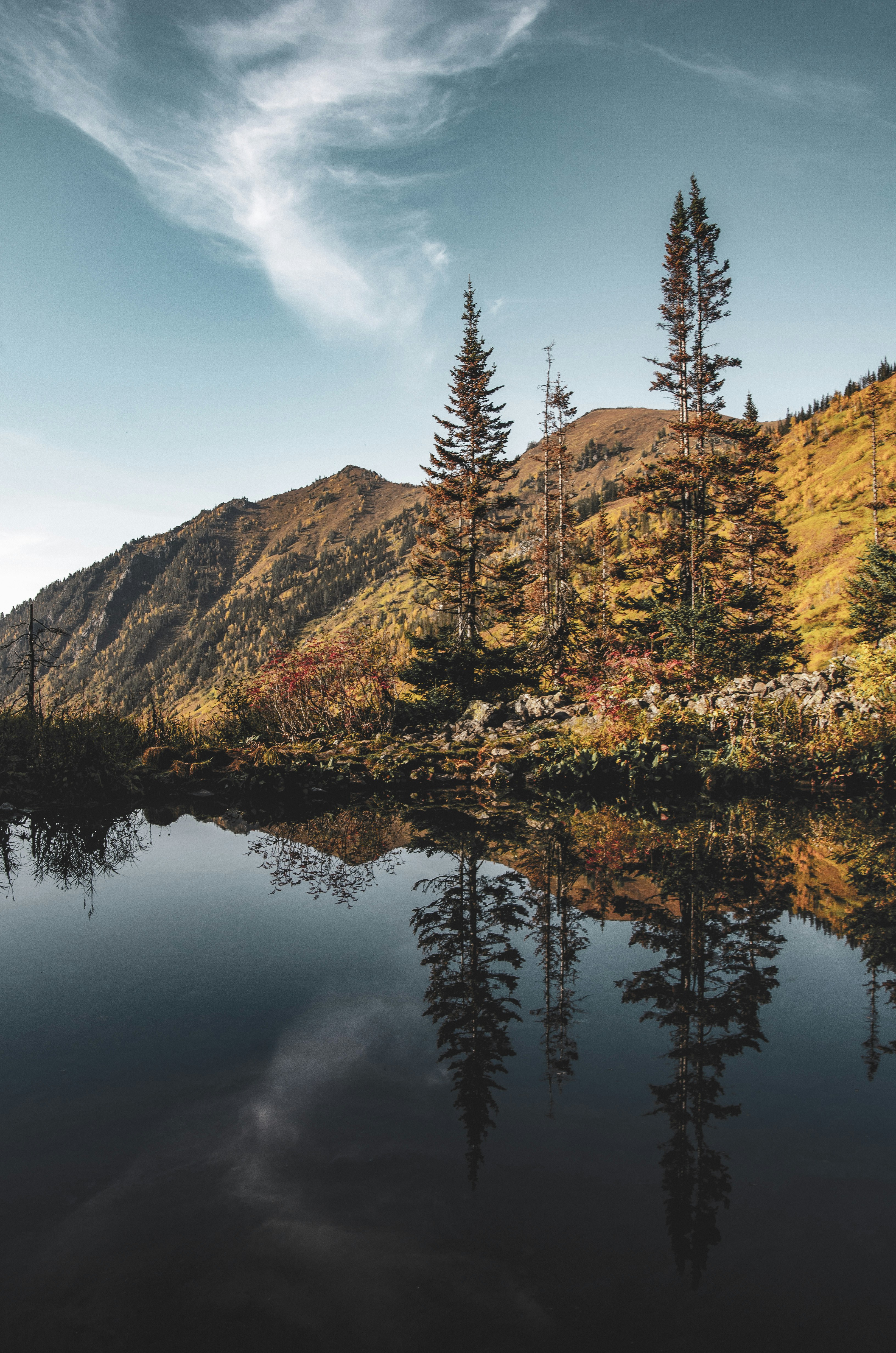 Photo by arina_dmitrieva