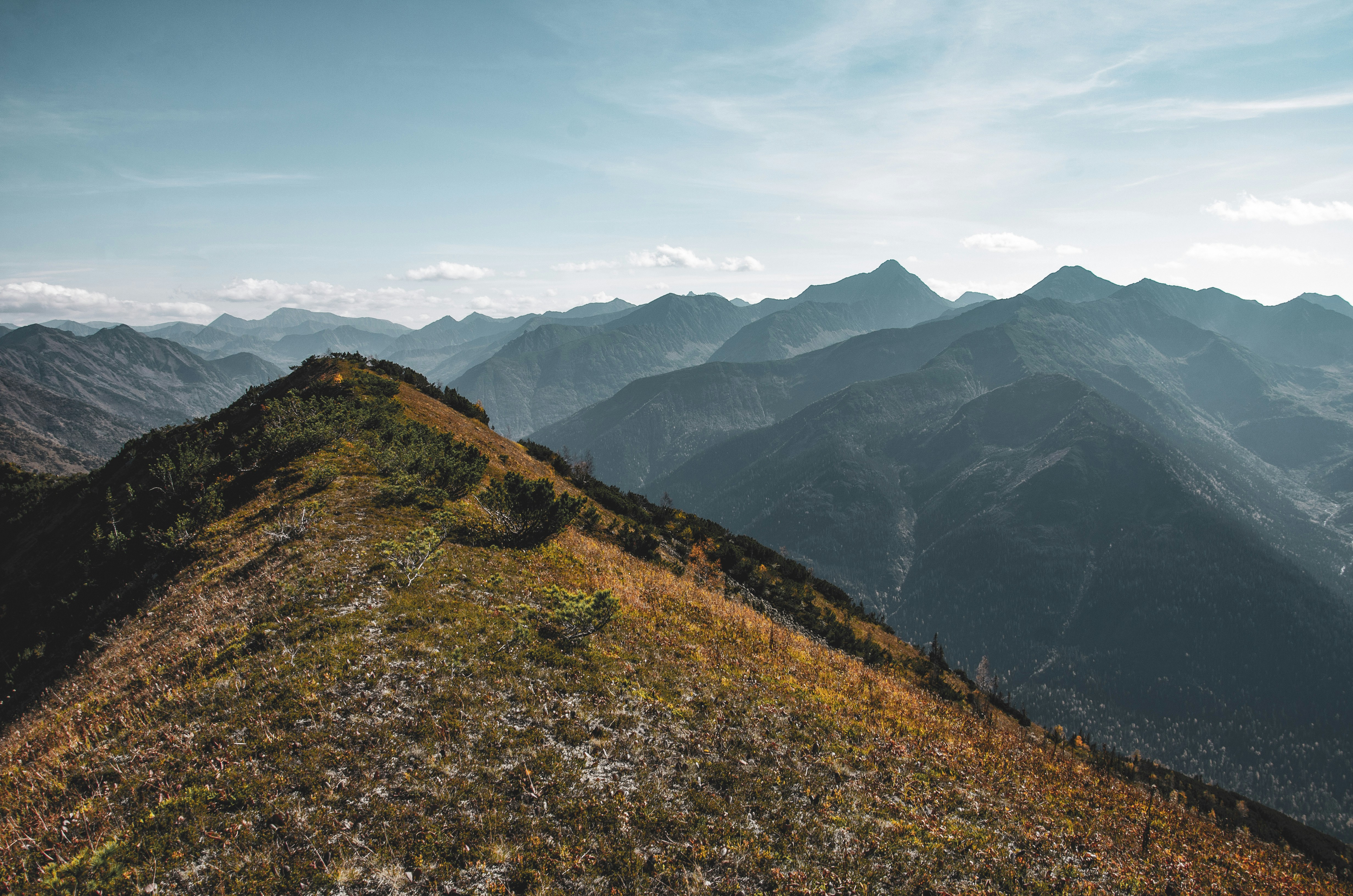 Photo by arina_dmitrieva