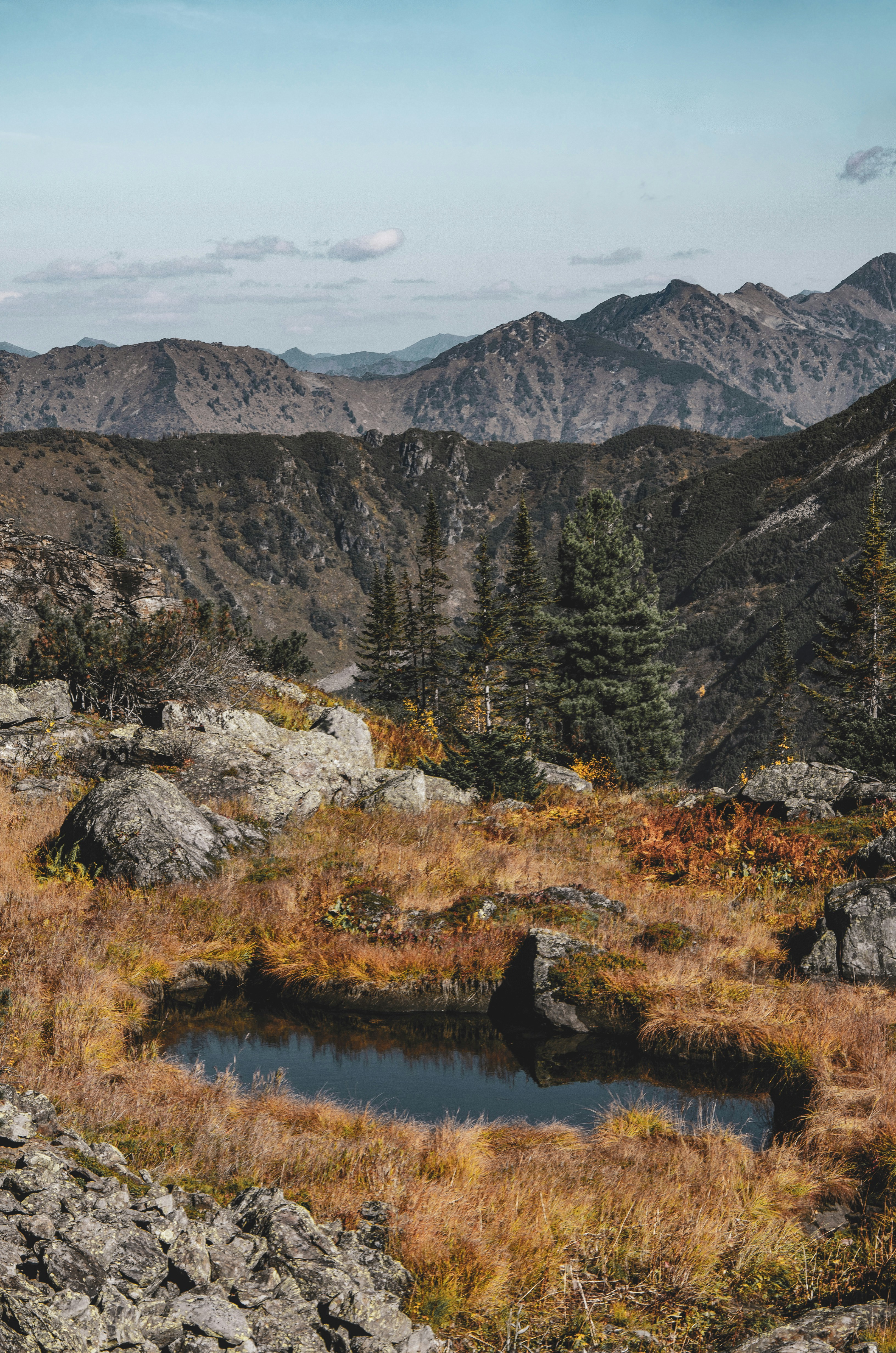 Photo by arina_dmitrieva