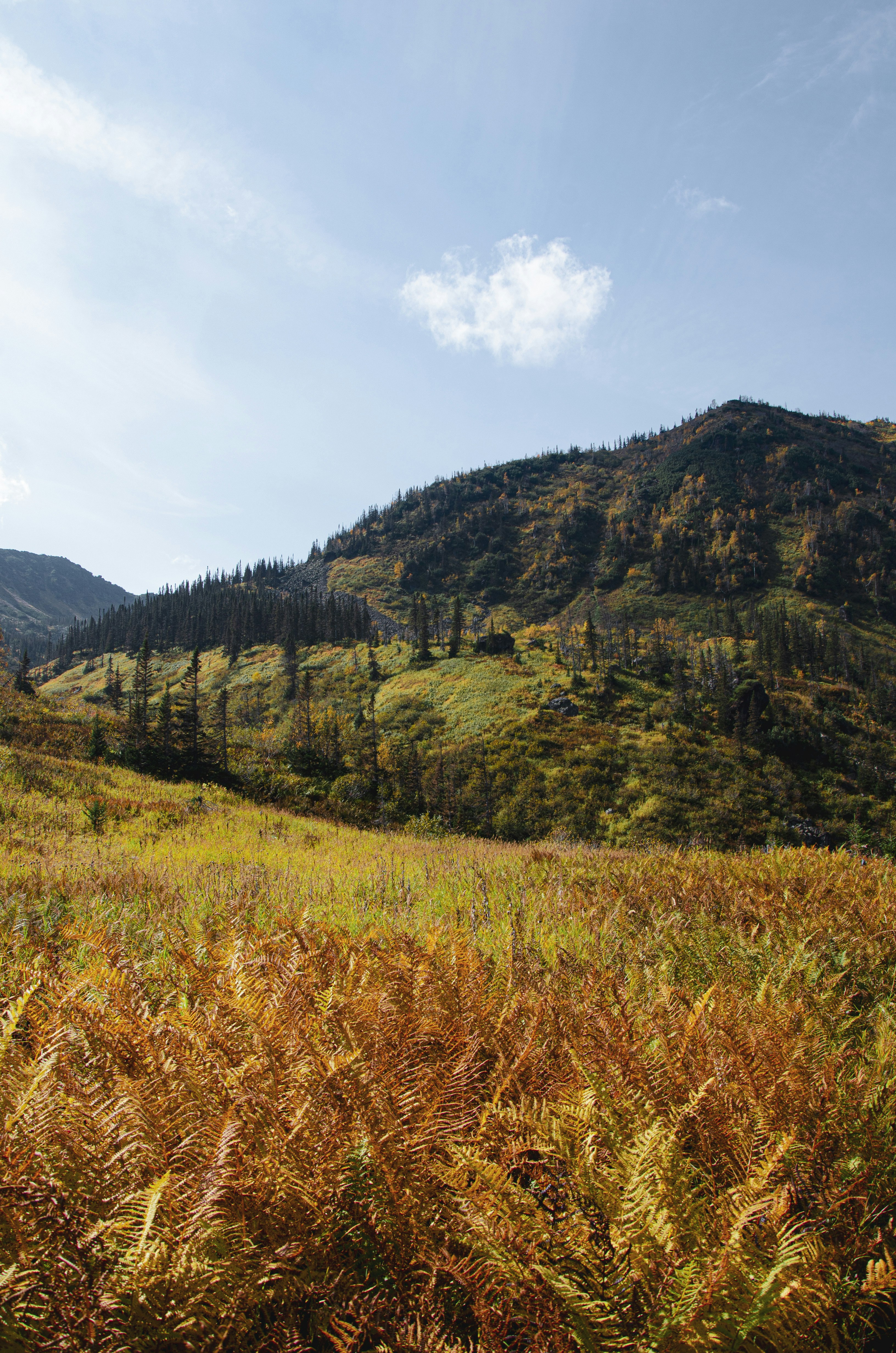 Photo by arina_dmitrieva