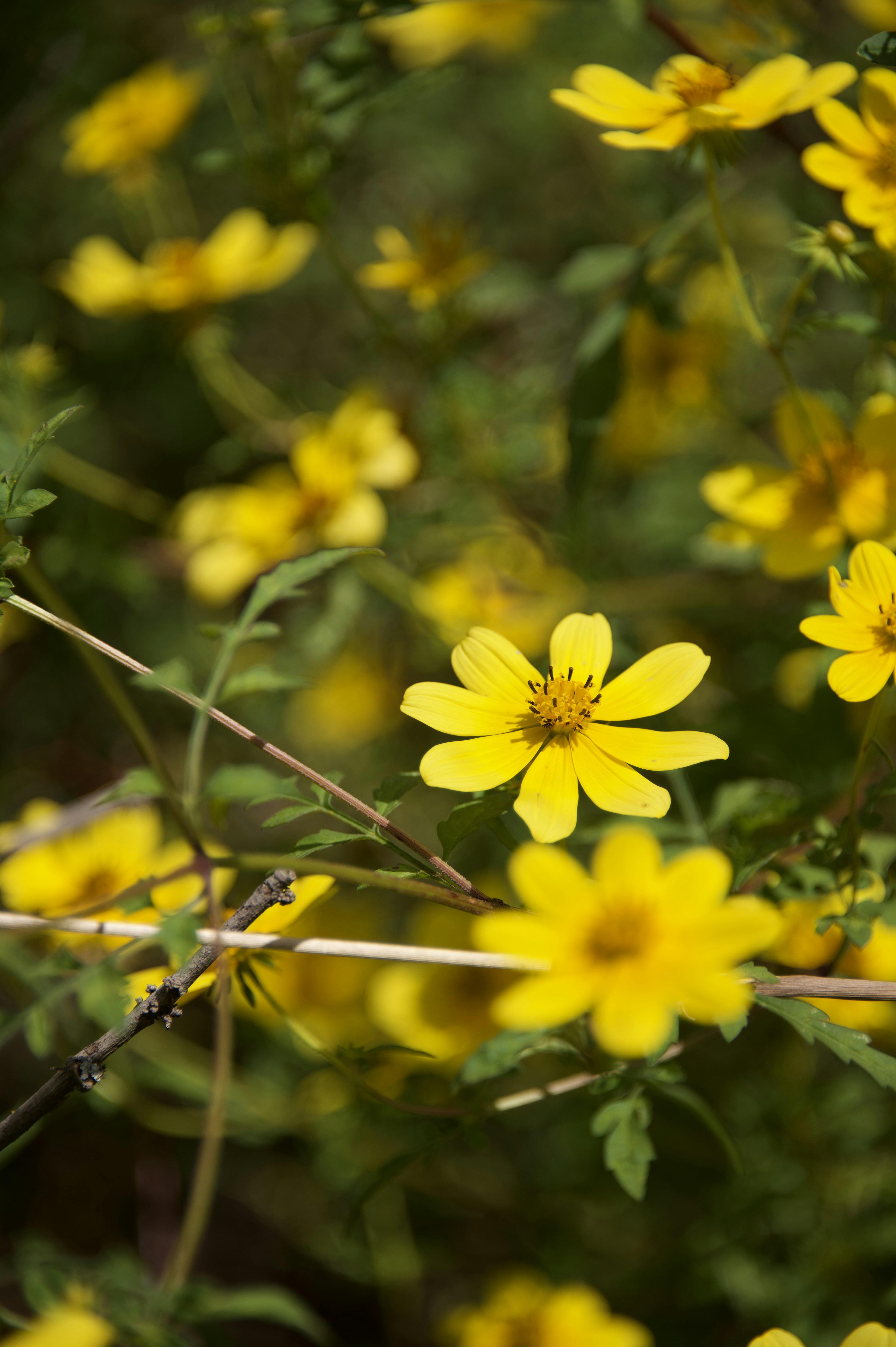 Photo by raenstorming