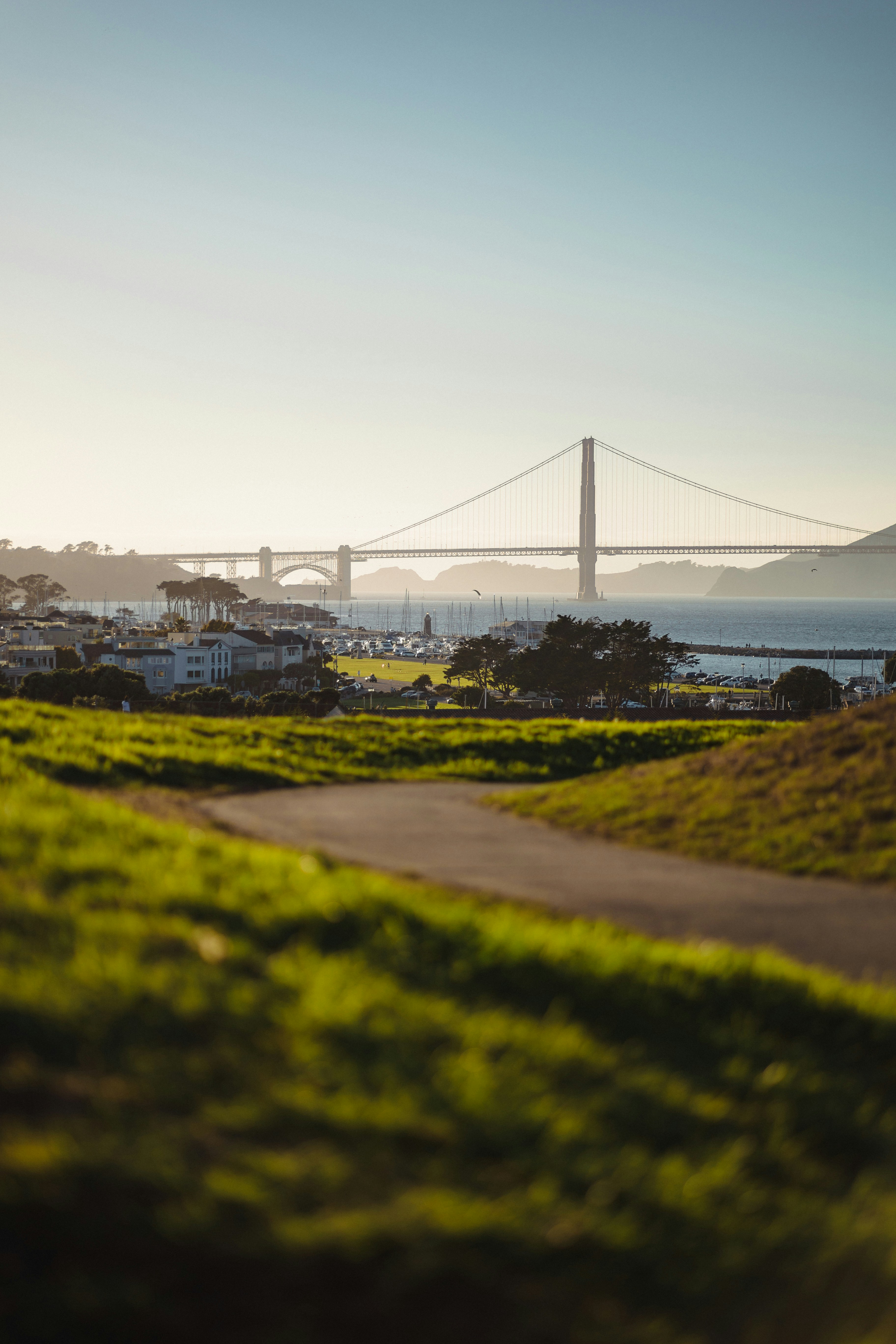 a large green field with trees in the background