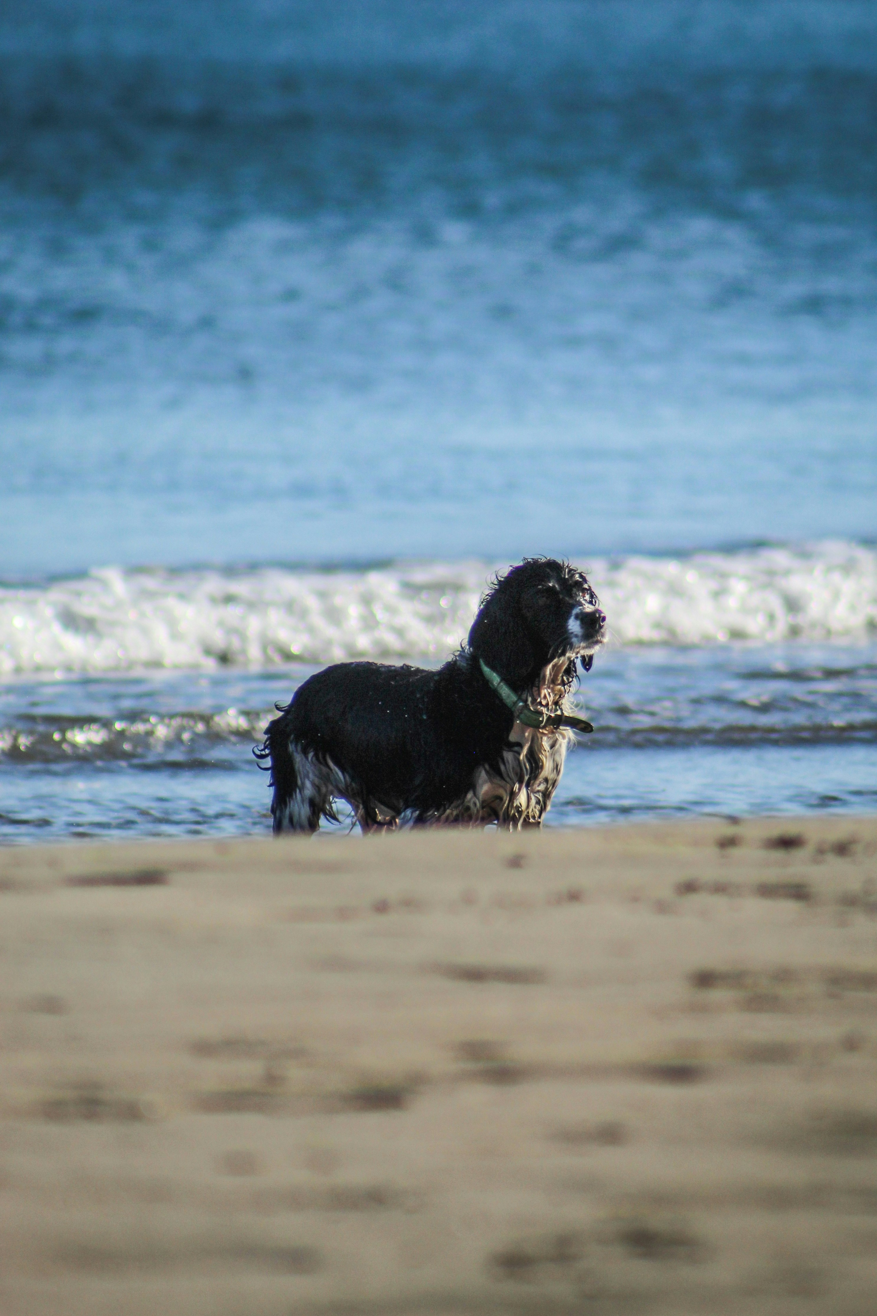 Photo by focalinsight