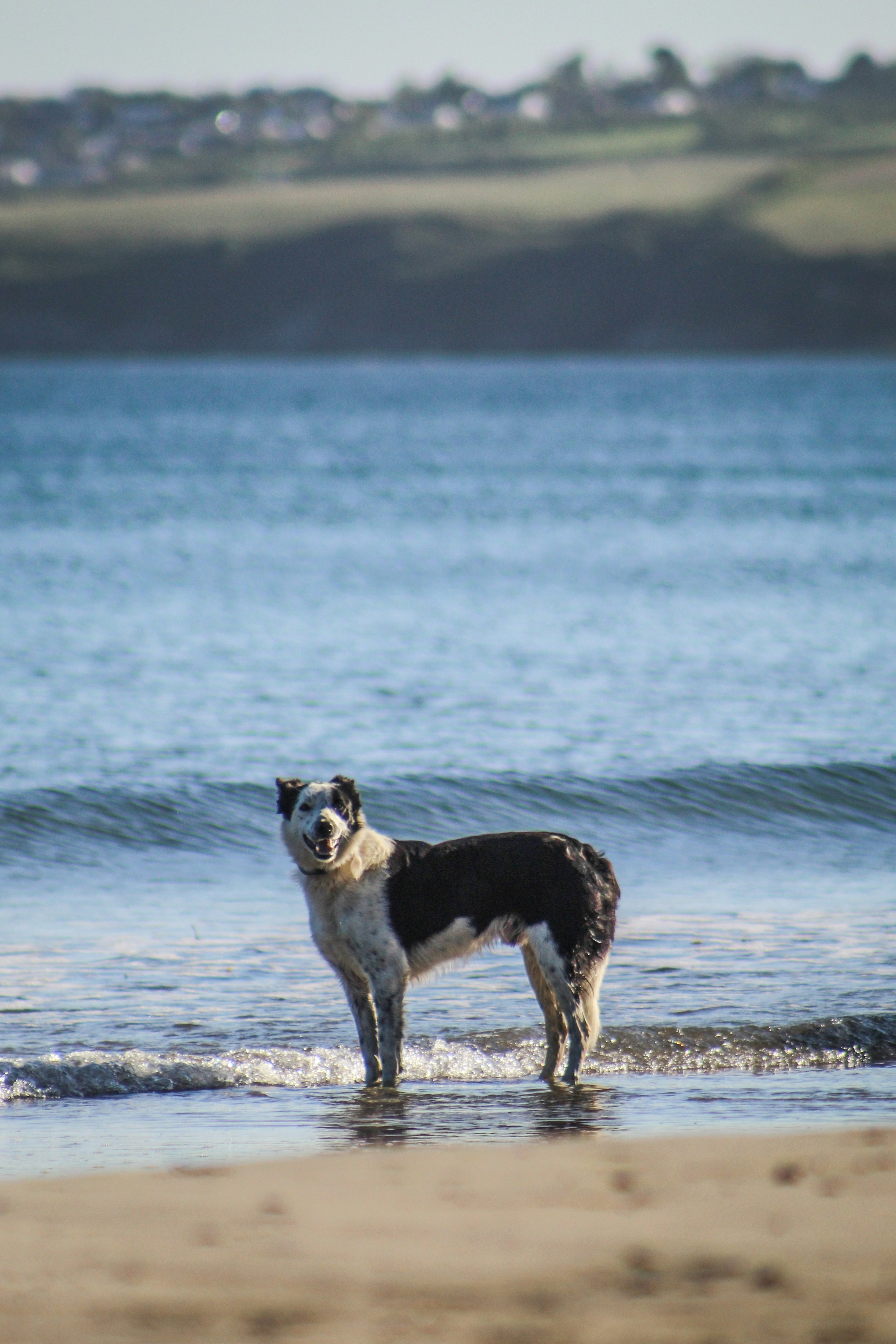 Photo by focalinsight