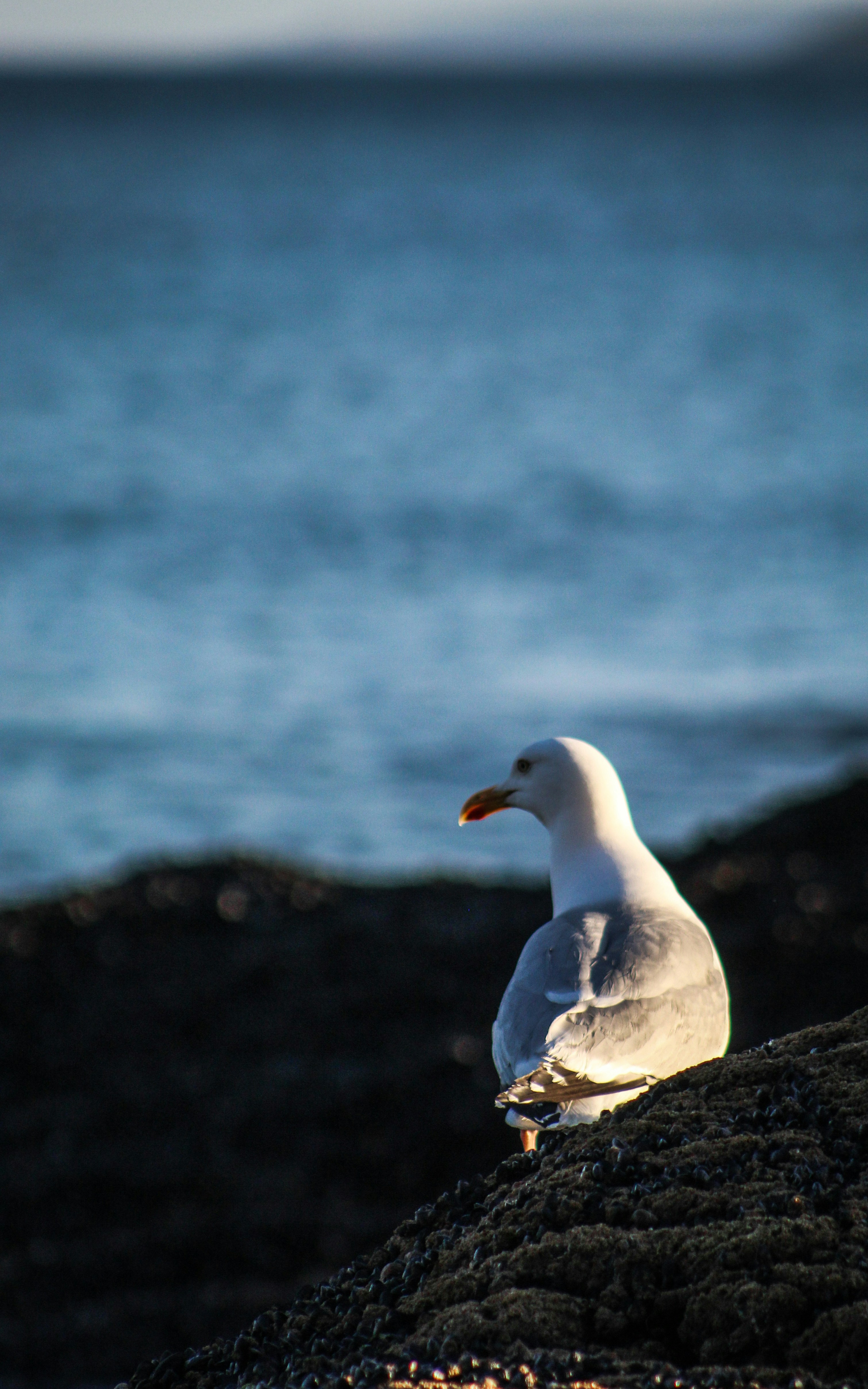 Photo by focalinsight