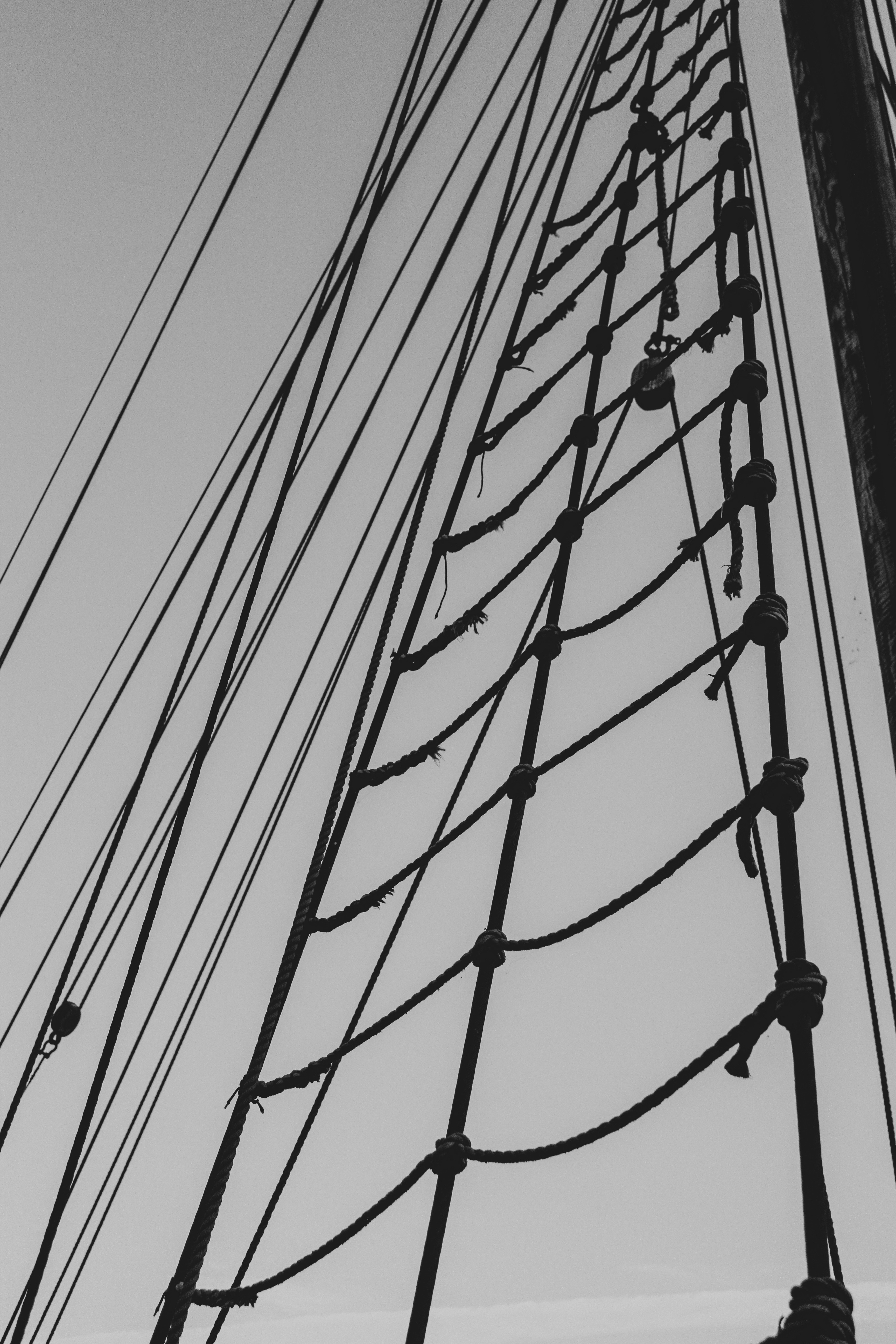 Photo by focalinsight