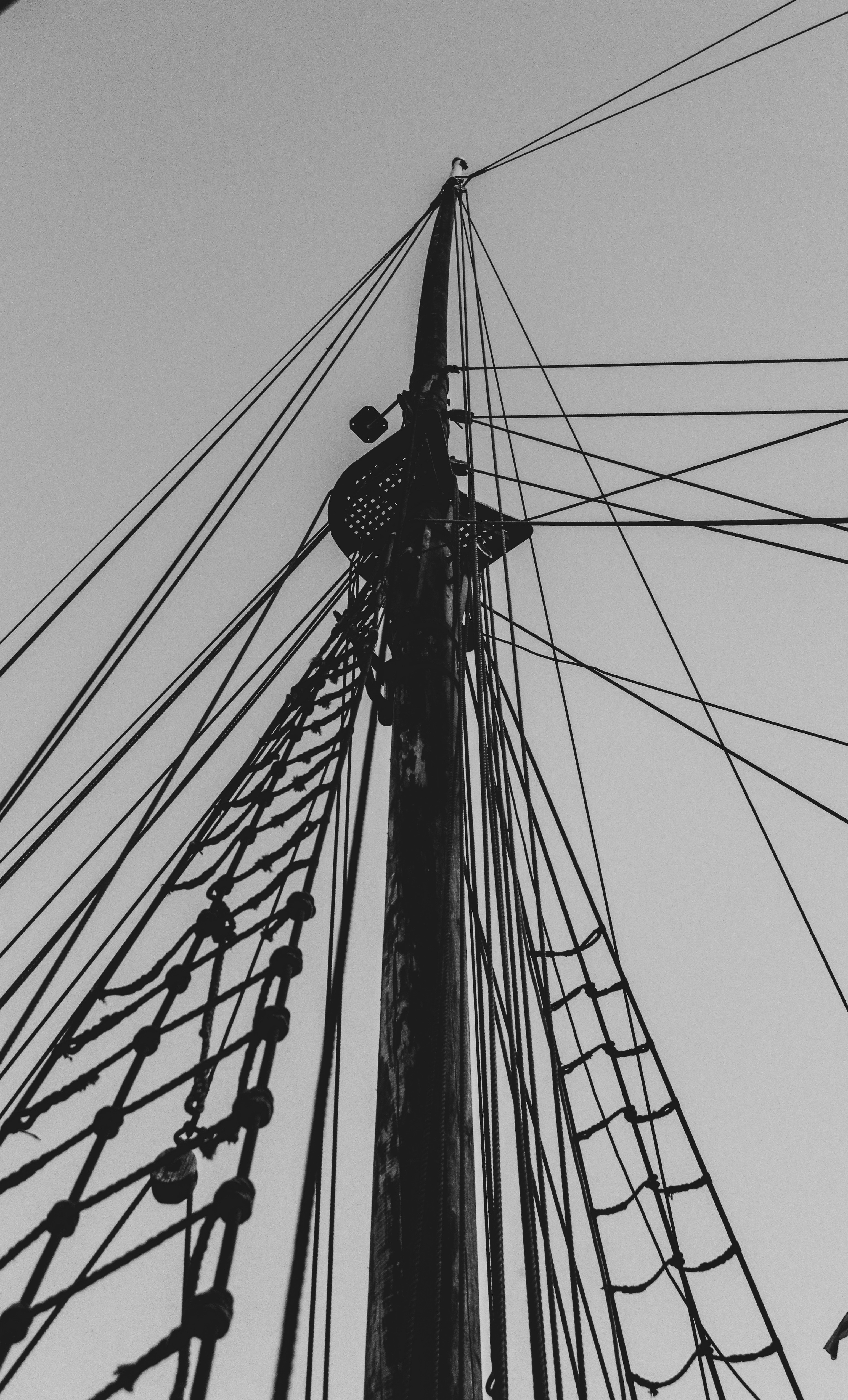 Photo by focalinsight