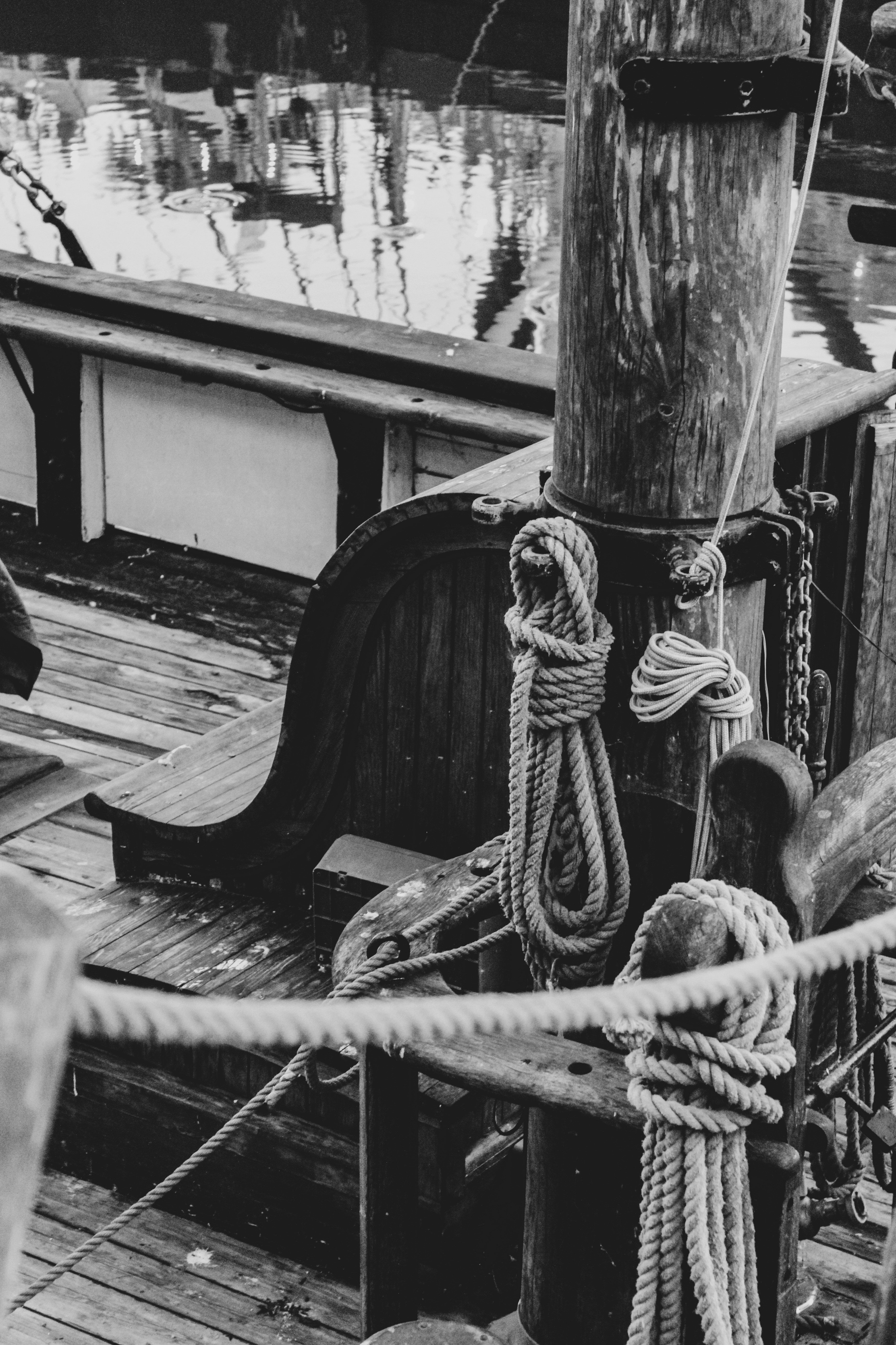 Photo by focalinsight