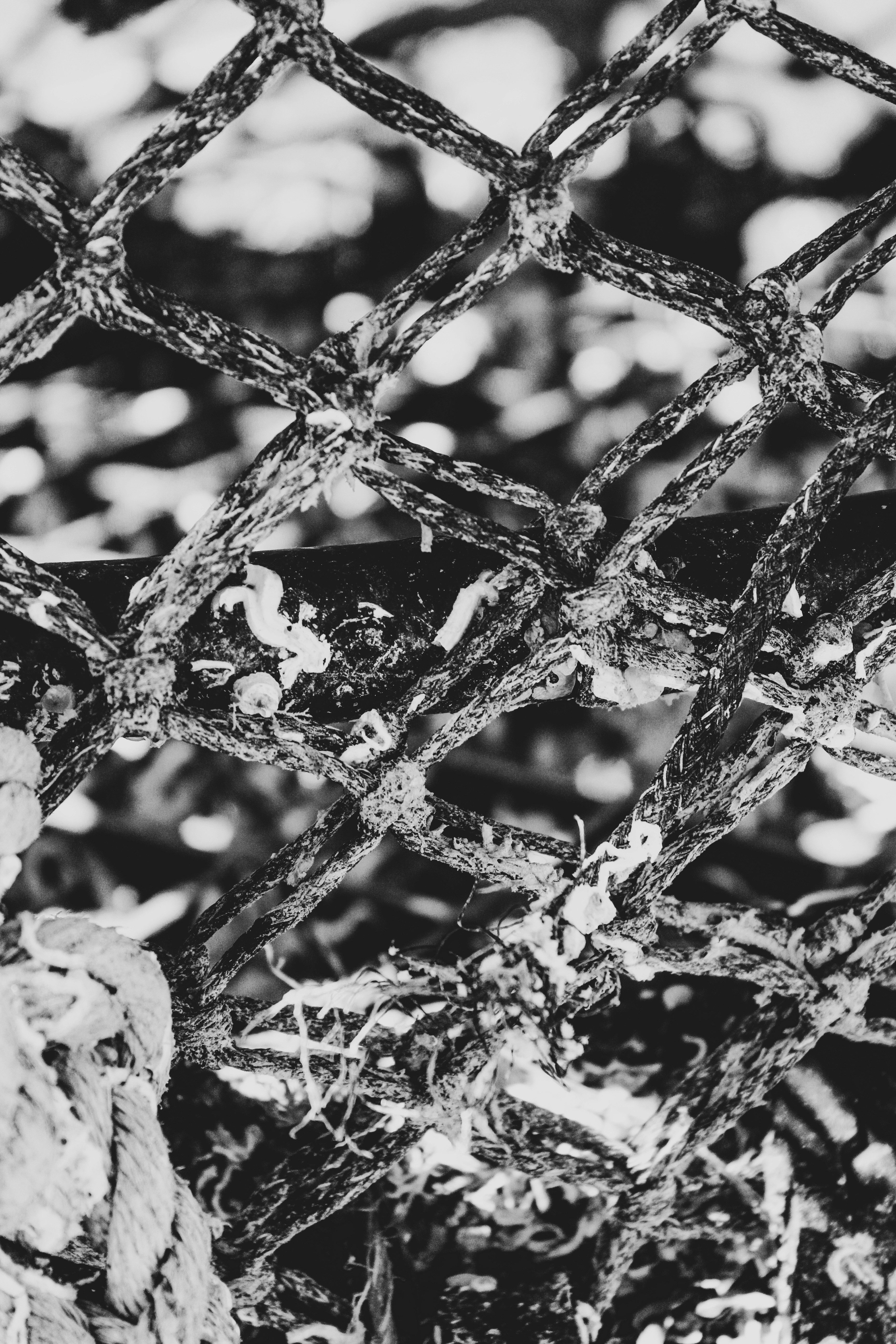 Photo by focalinsight