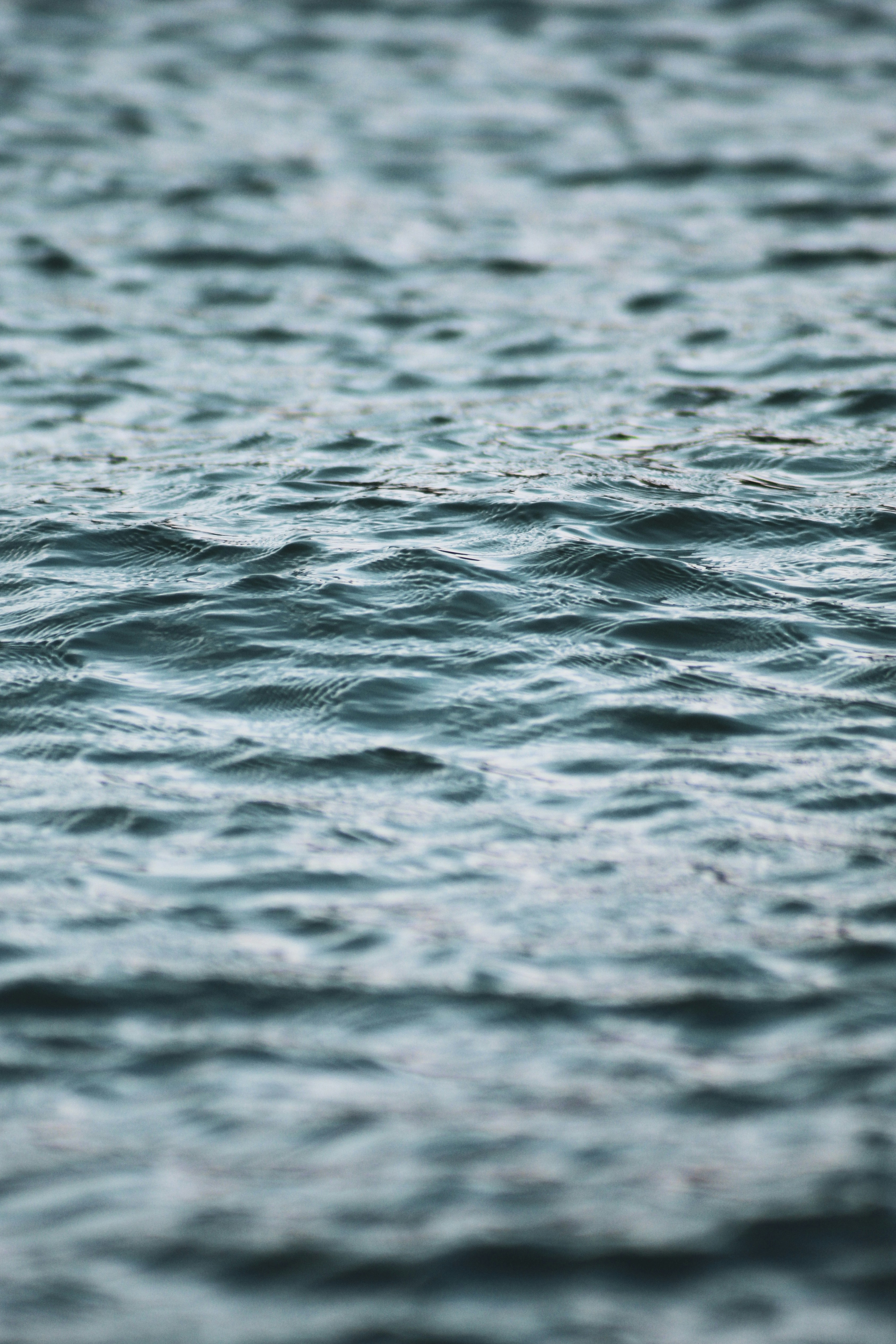 Photo by focalinsight