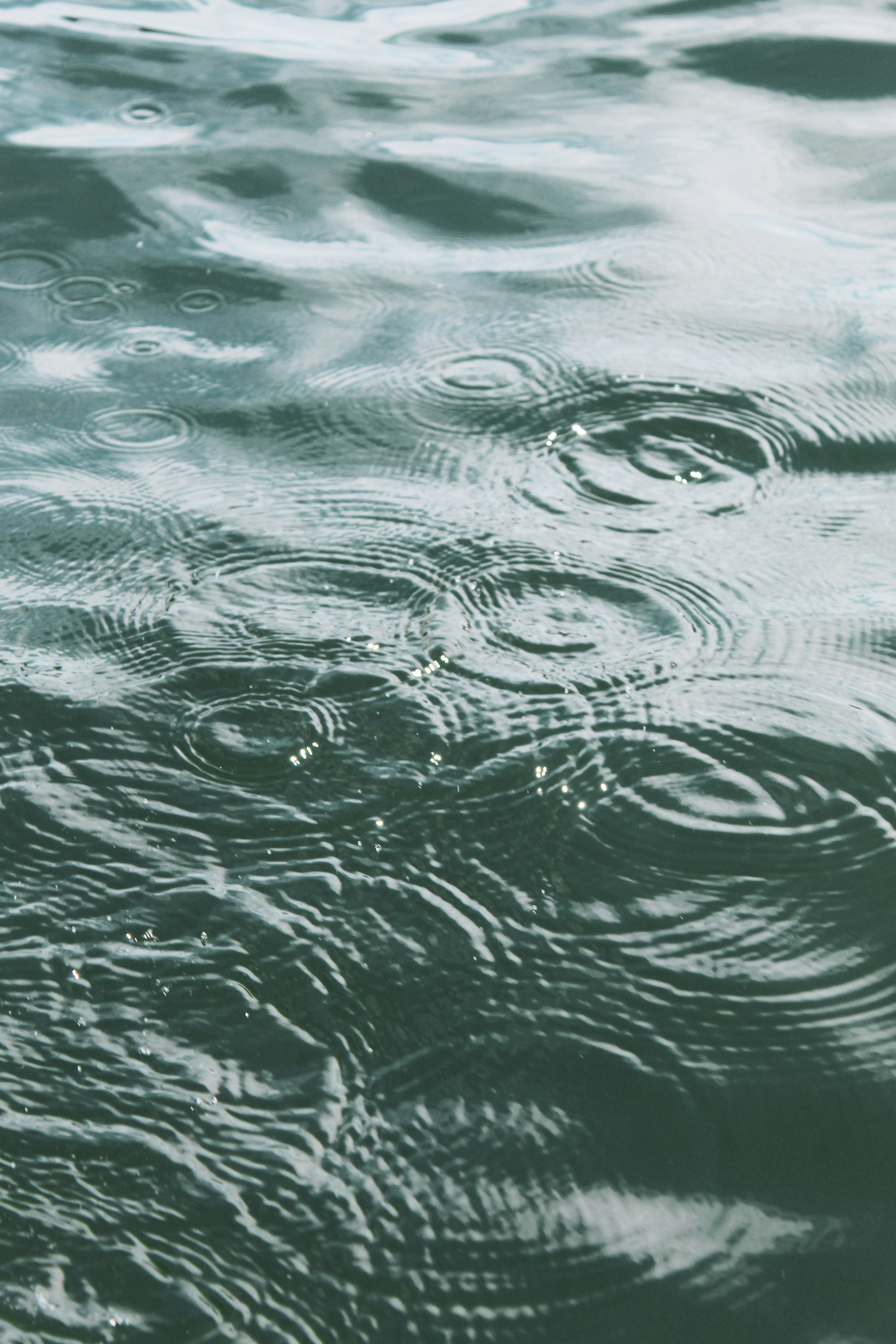 Photo by focalinsight