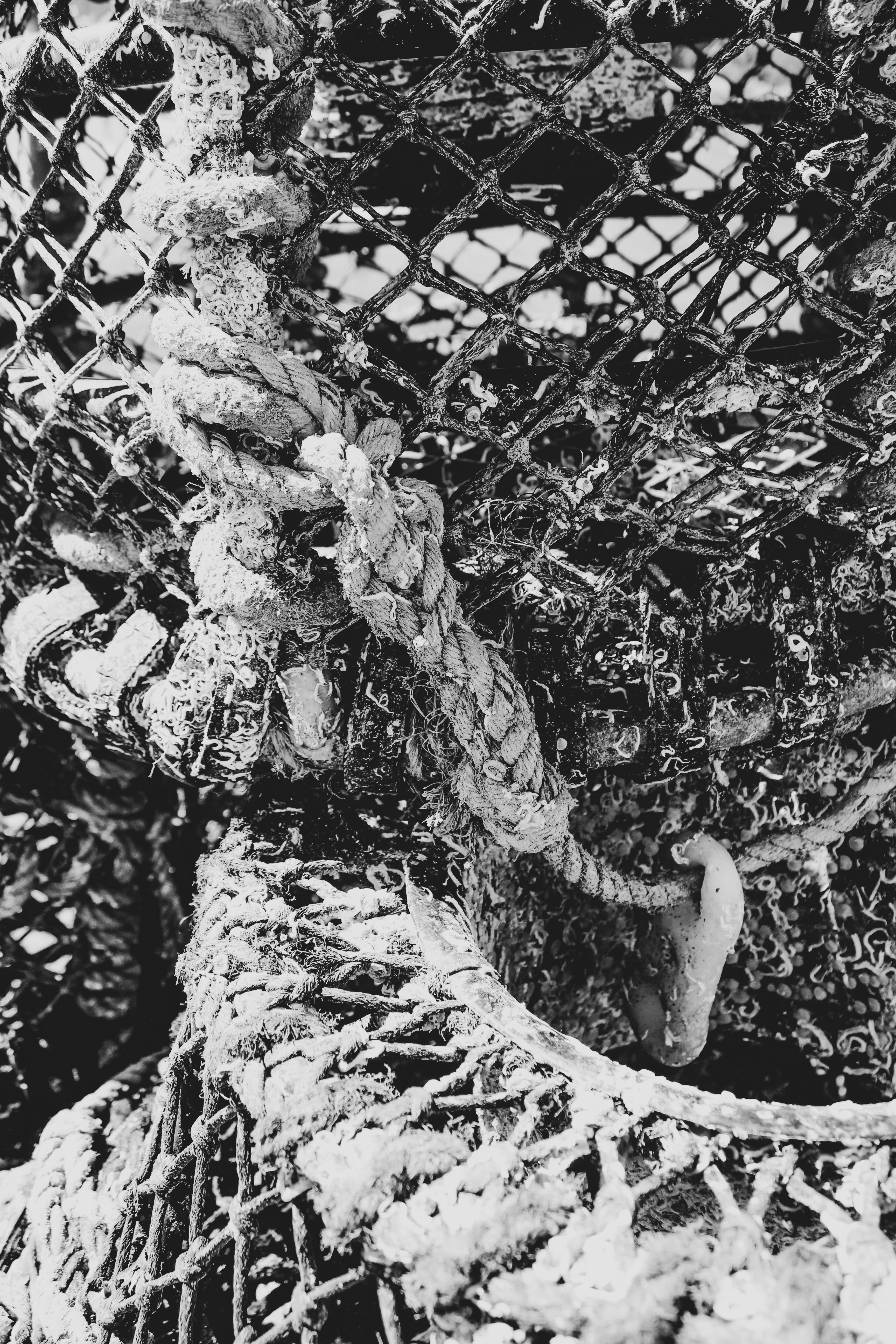 Photo by focalinsight