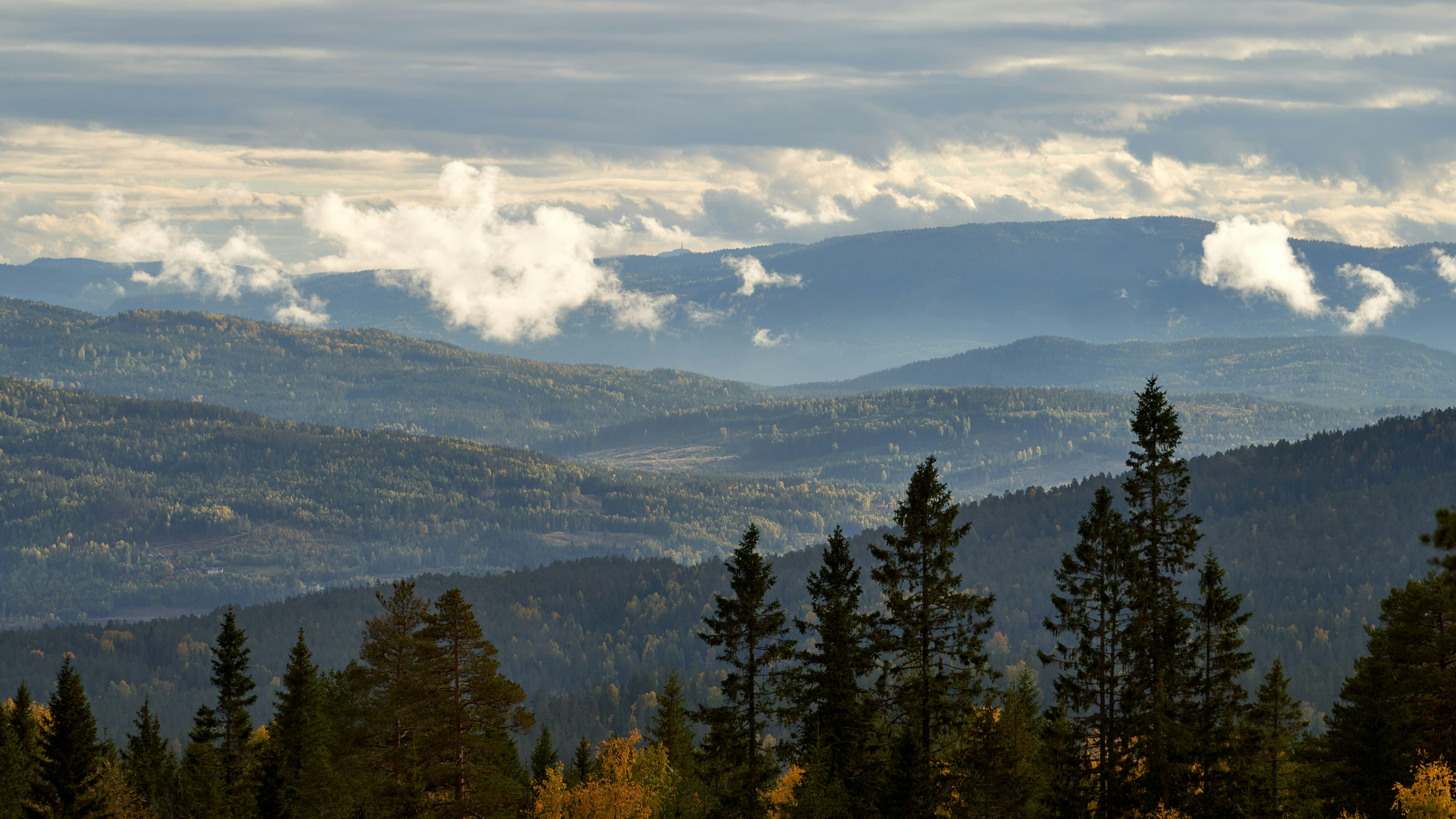 Photo by davotibarna