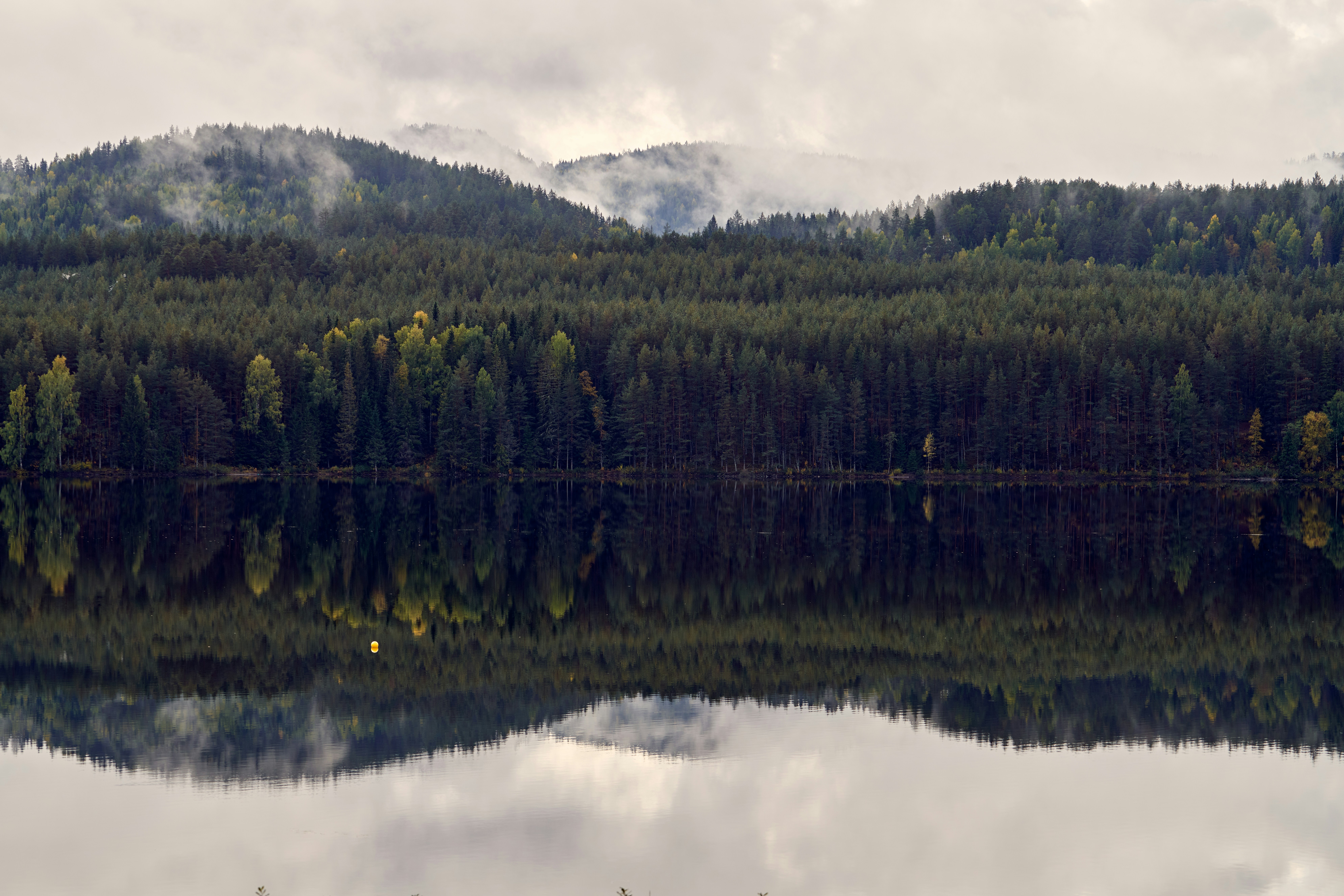 Photo by davotibarna