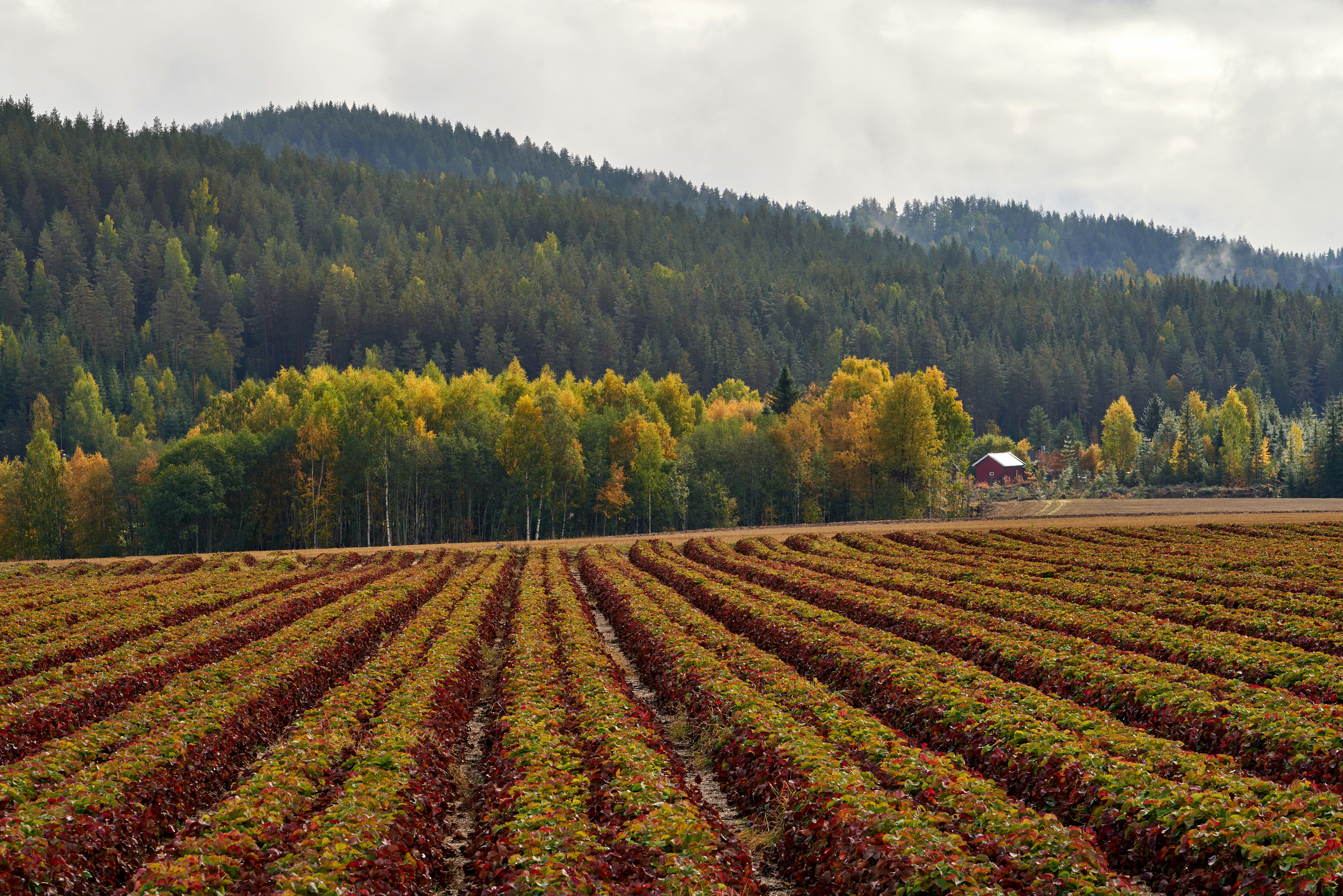 Photo by davotibarna