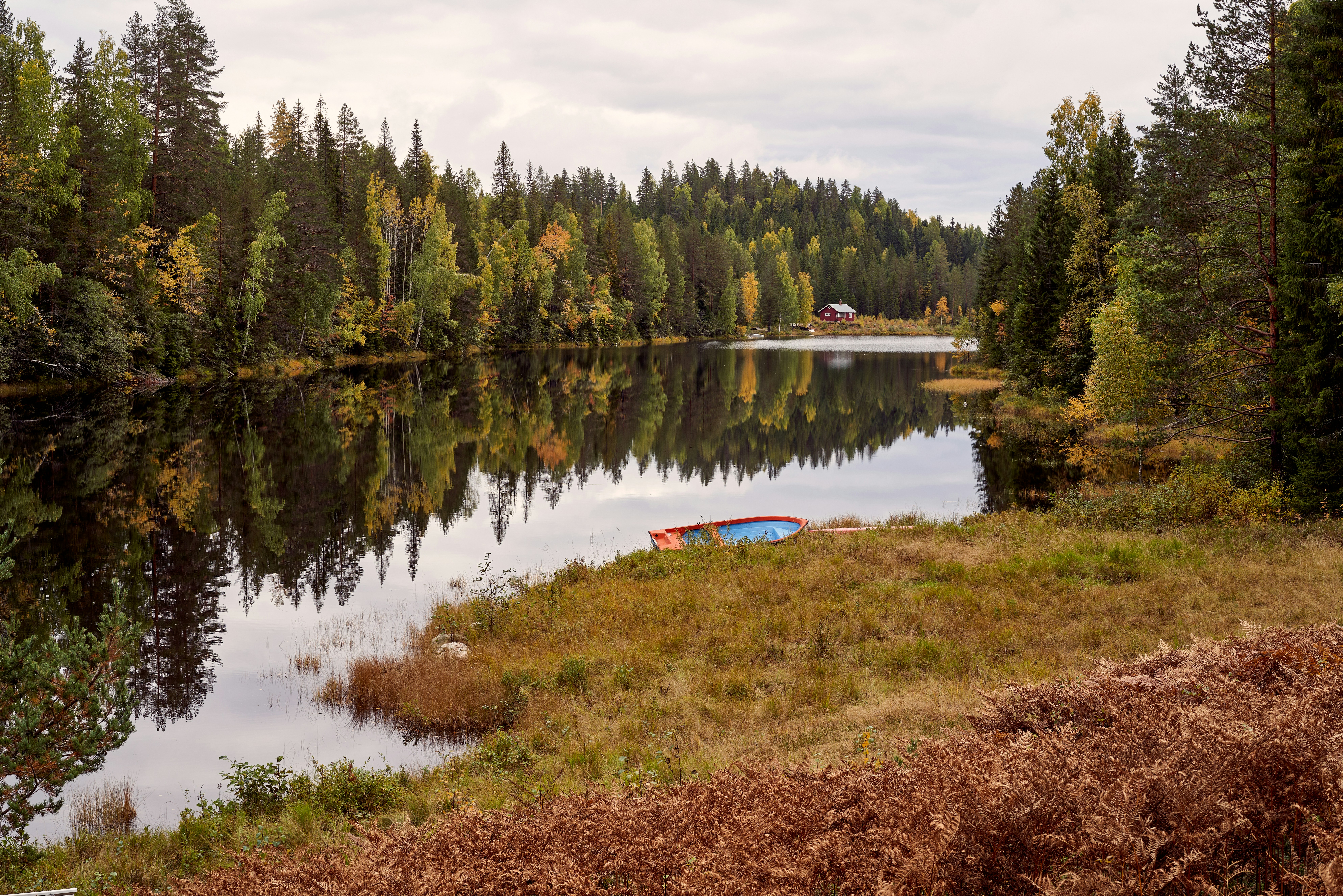 Photo by davotibarna