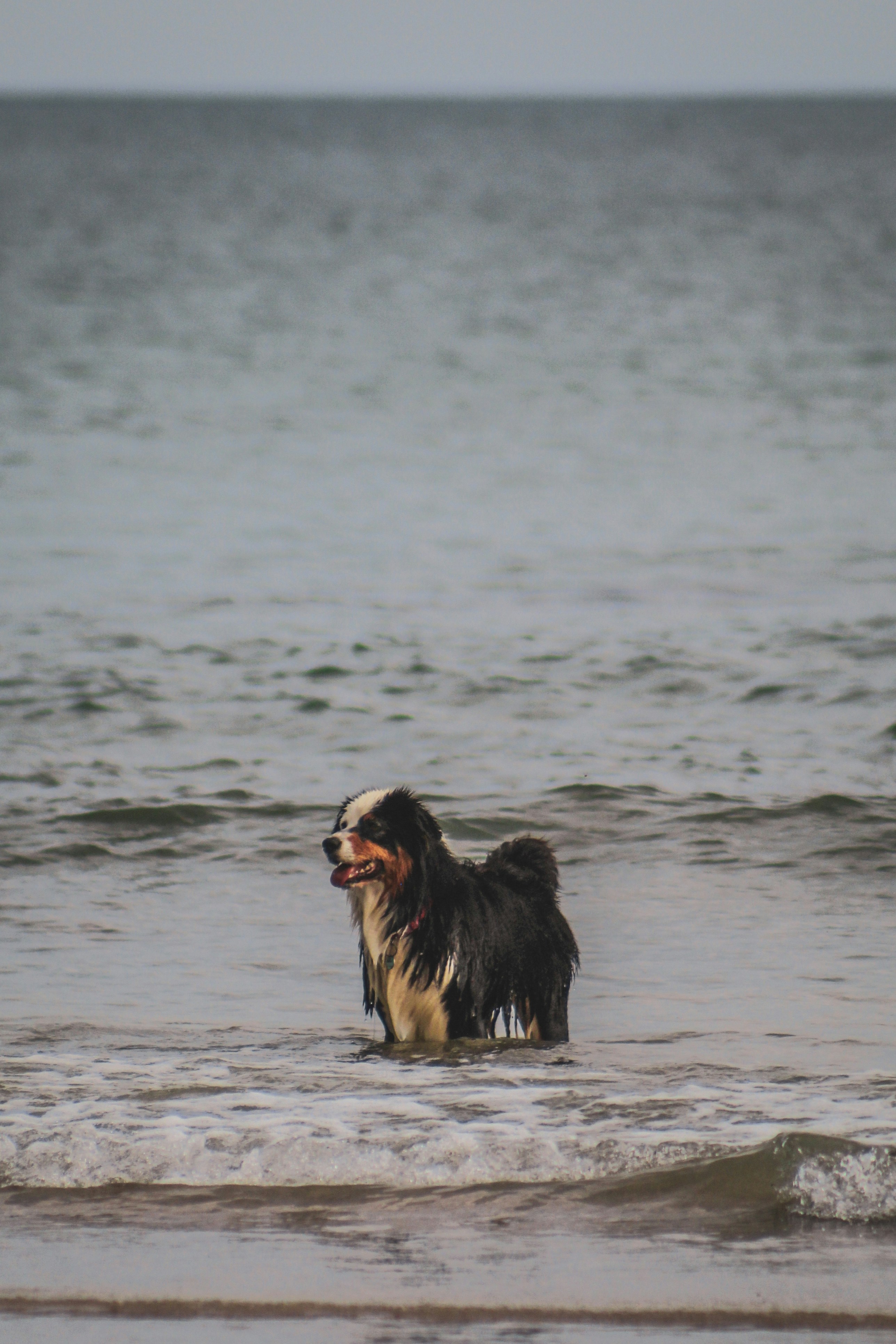 Photo by focalinsight