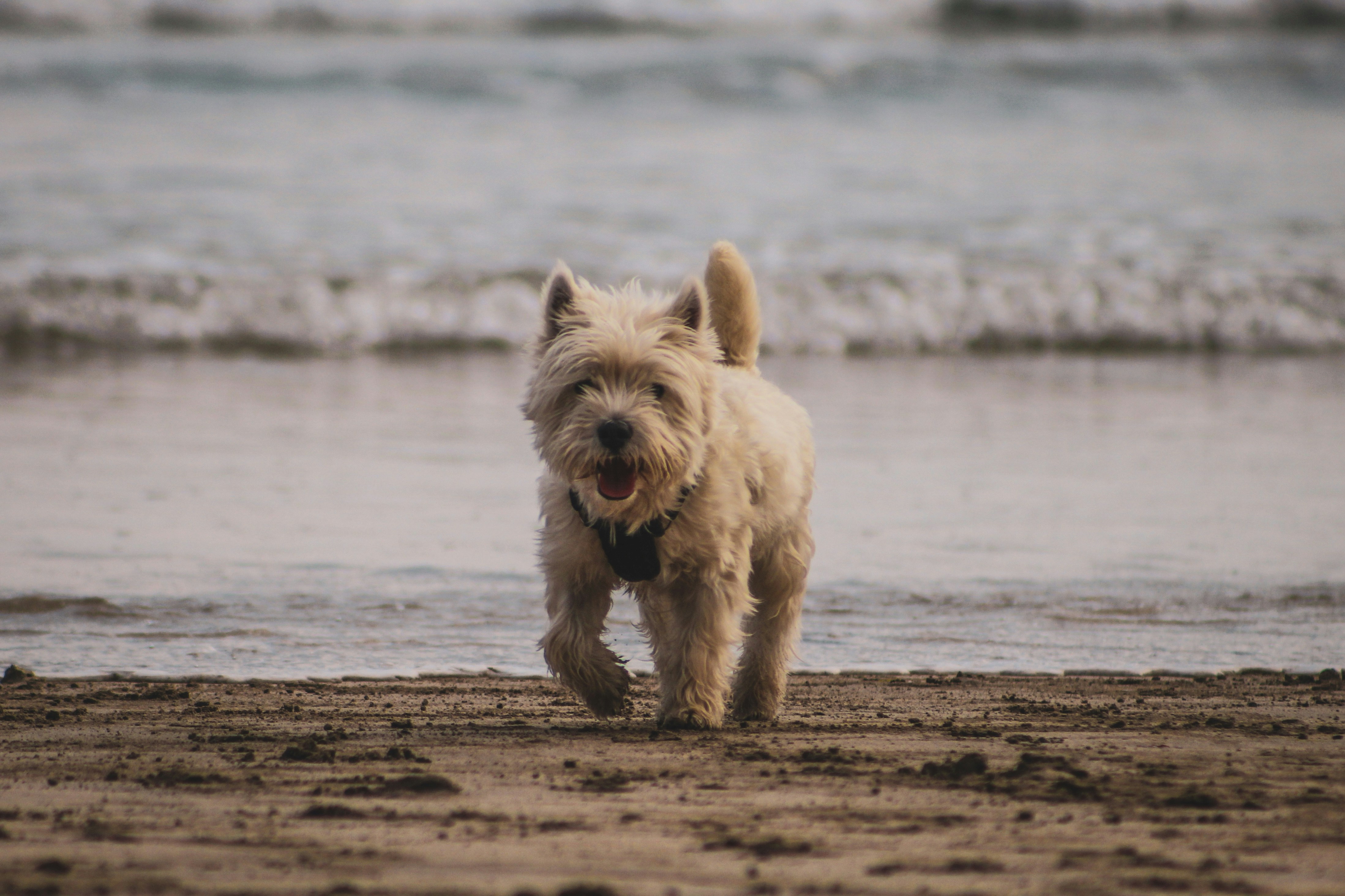 Photo by focalinsight