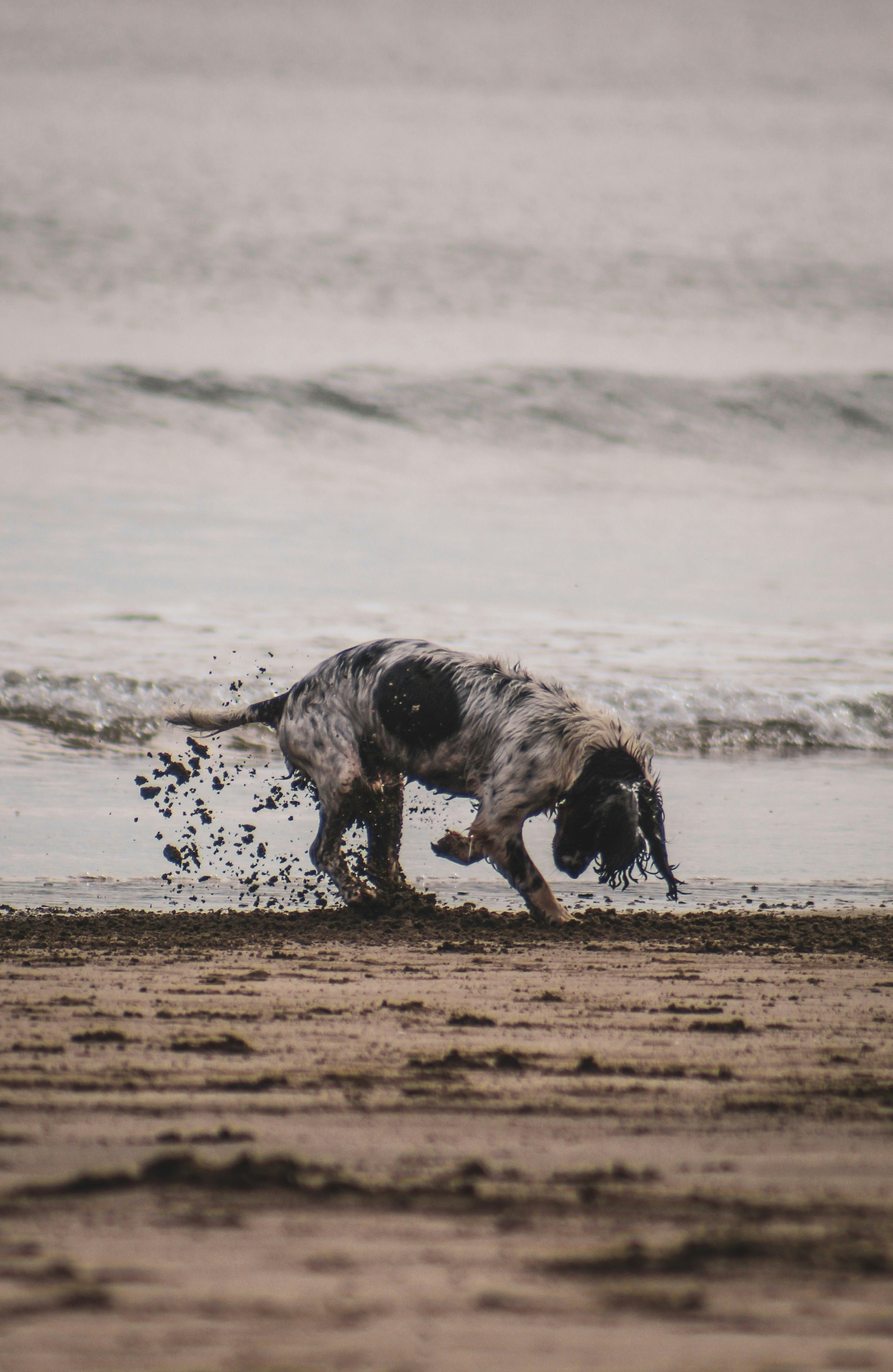 Photo by focalinsight