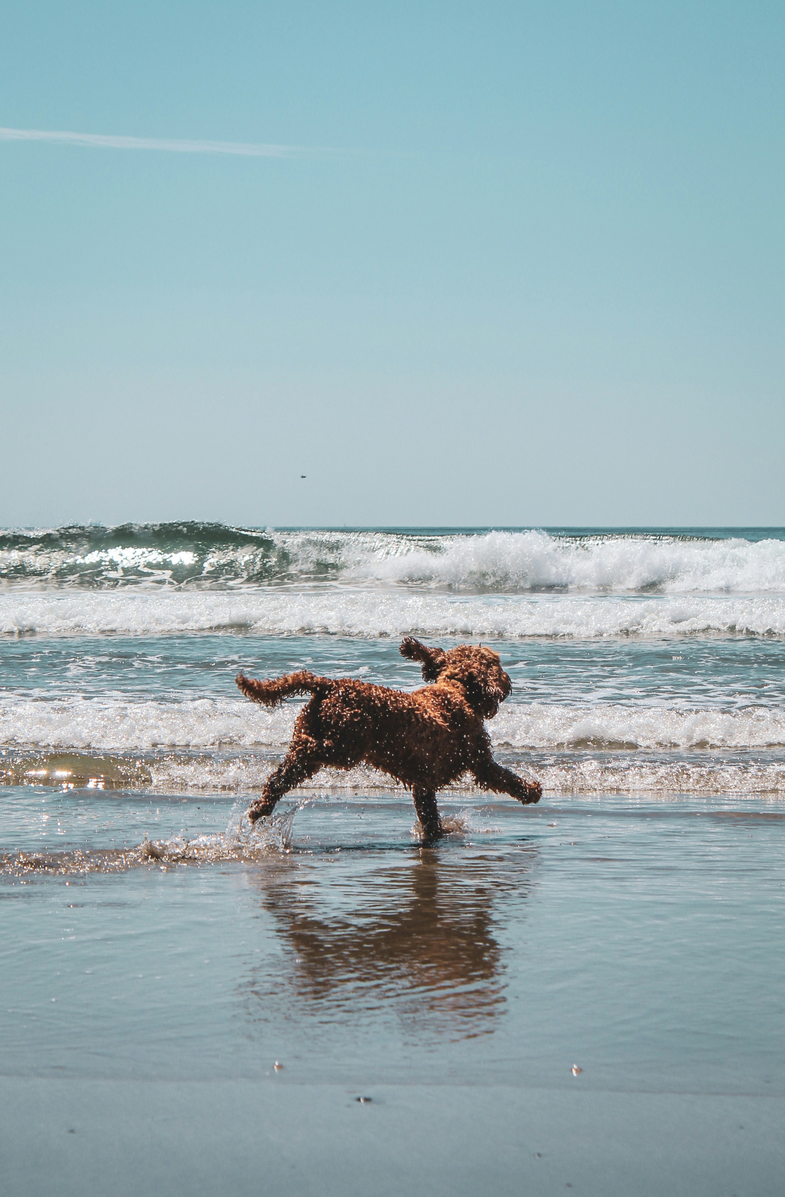 Photo by focalinsight