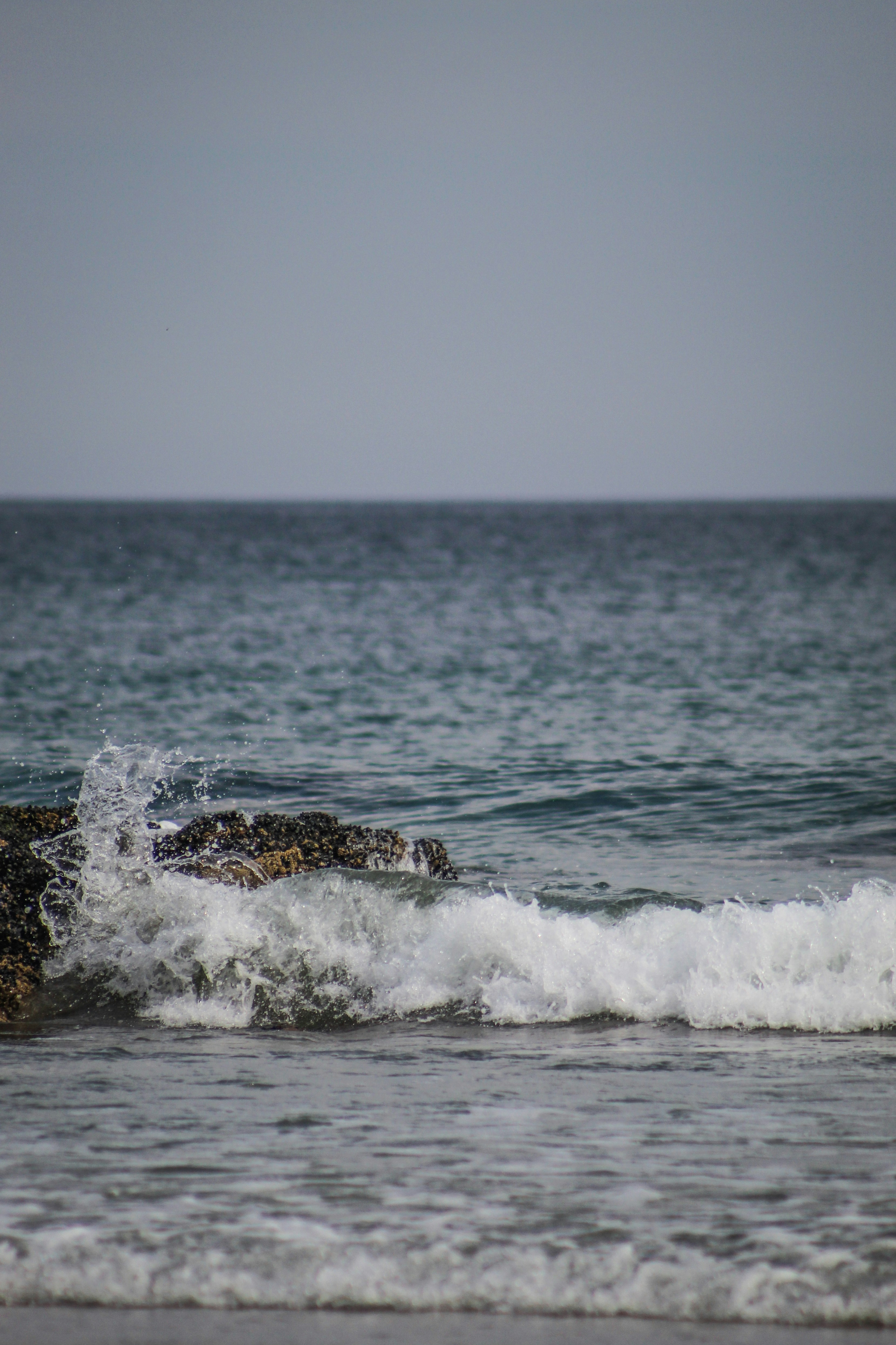 Photo by focalinsight