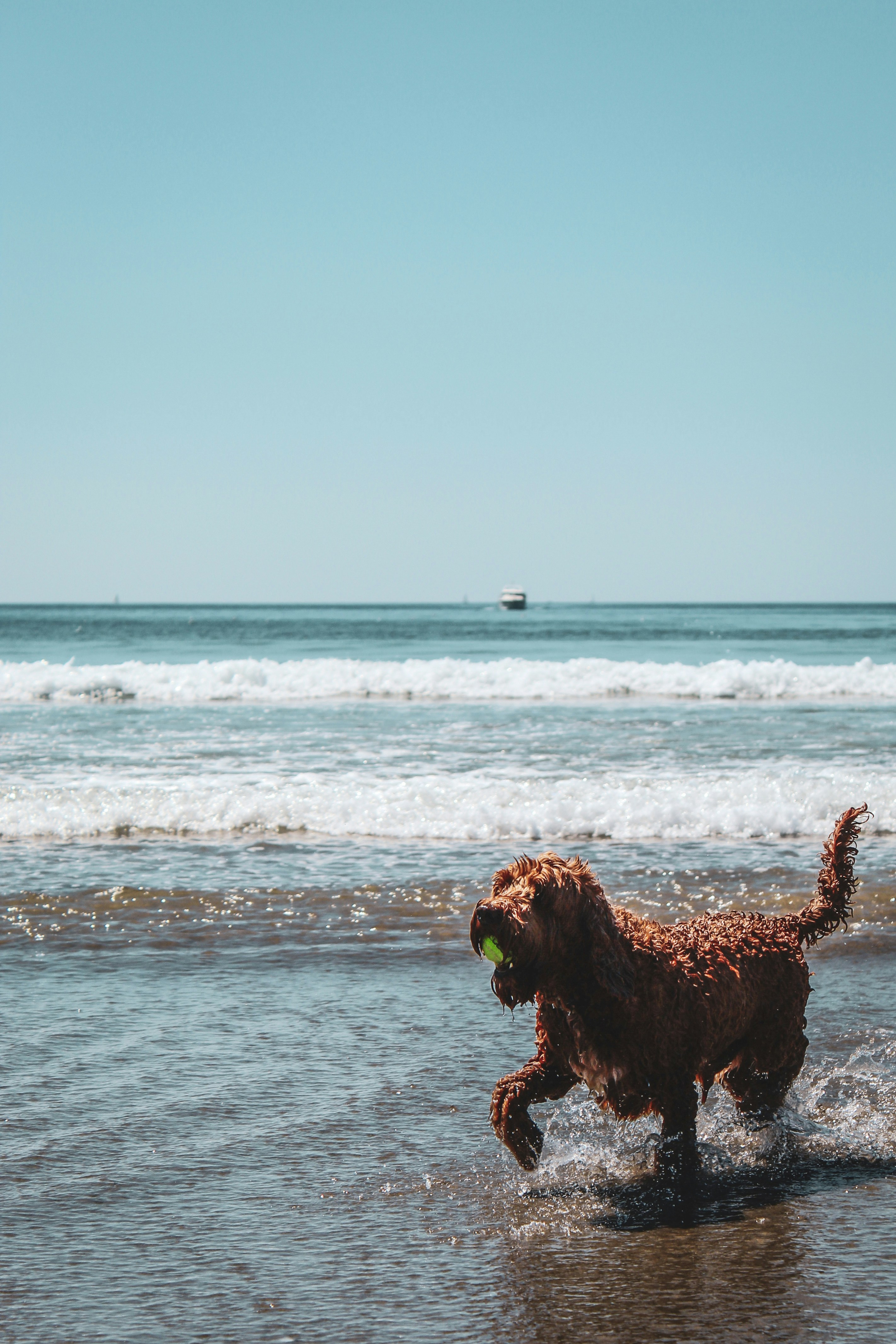 Photo by focalinsight