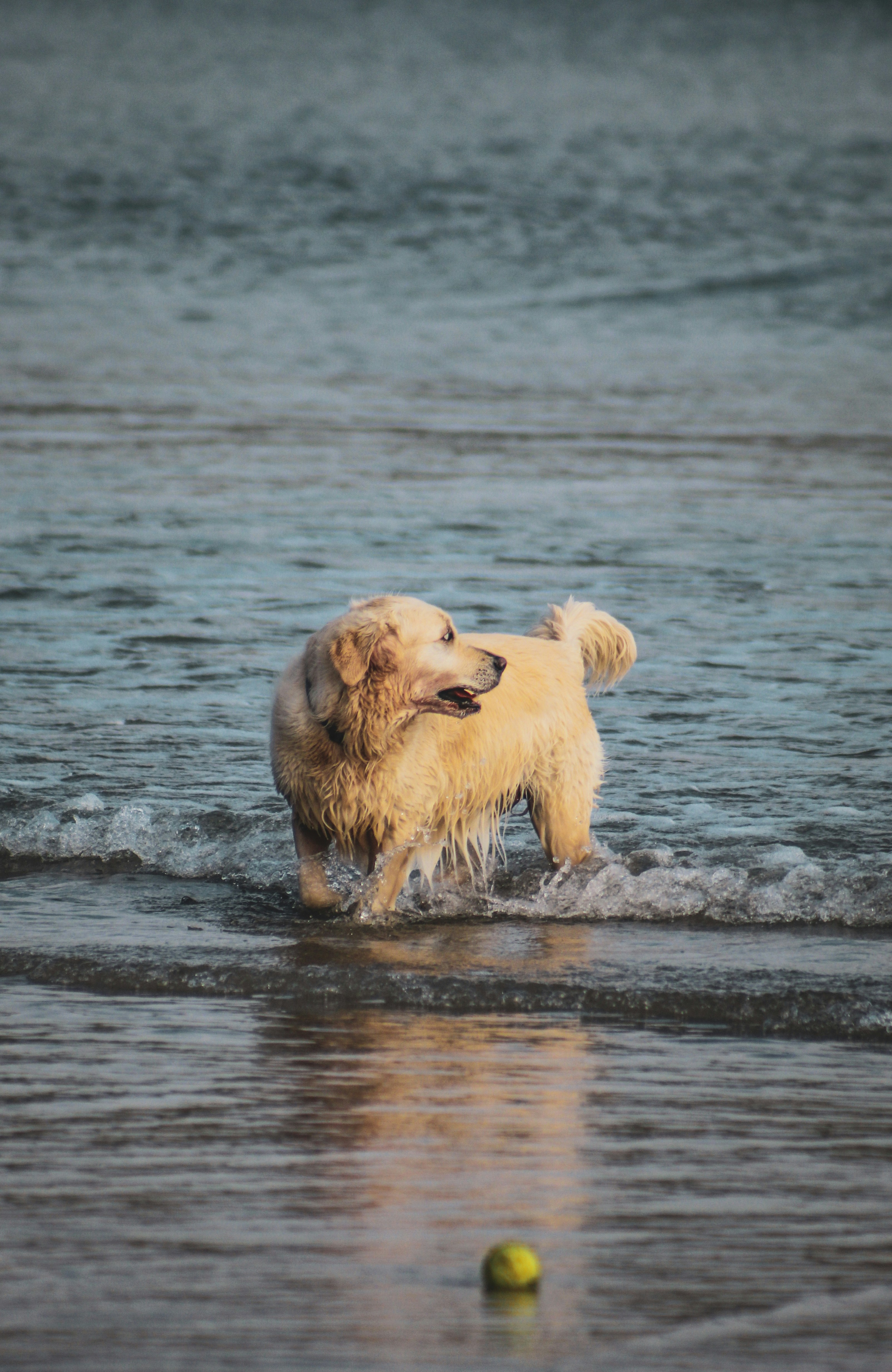 Photo by focalinsight