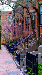 Quiet Chicago neighborhood street lined with red brick townhouses.