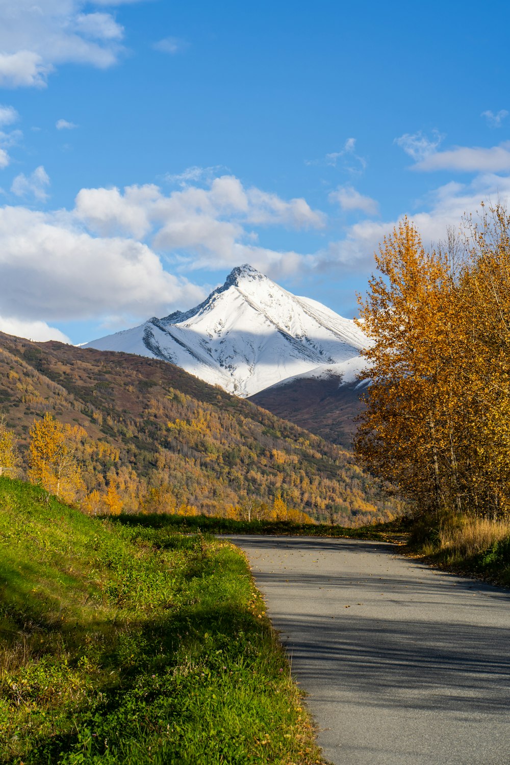 a road leading to a snowy mountain