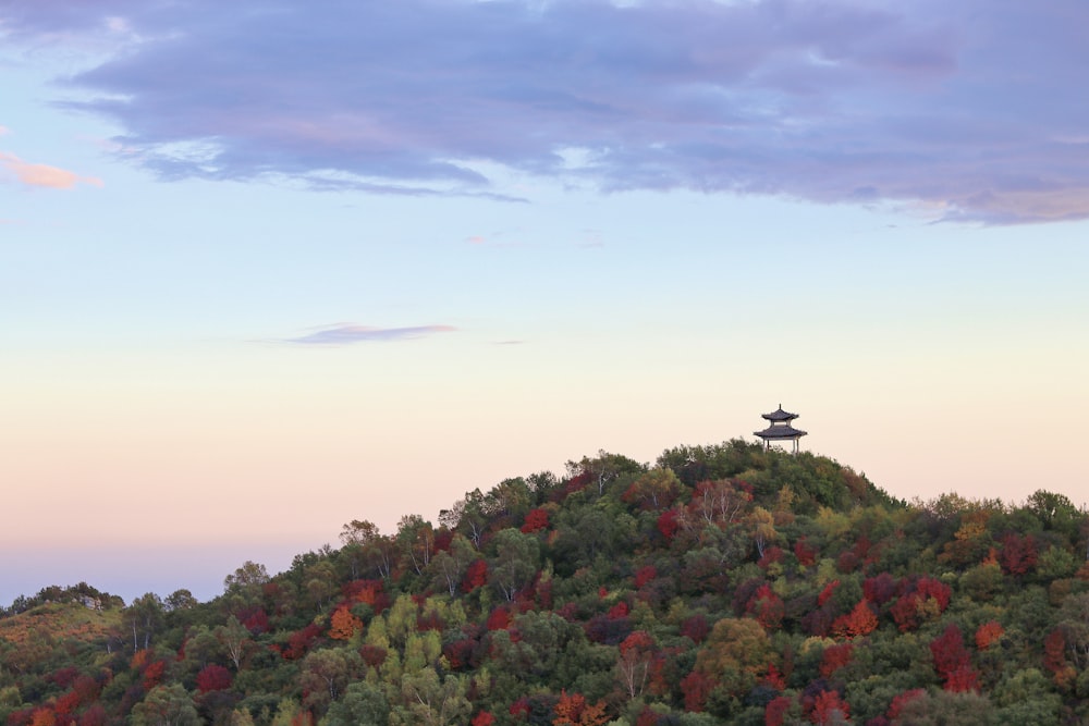 a helicopter flying over a forest