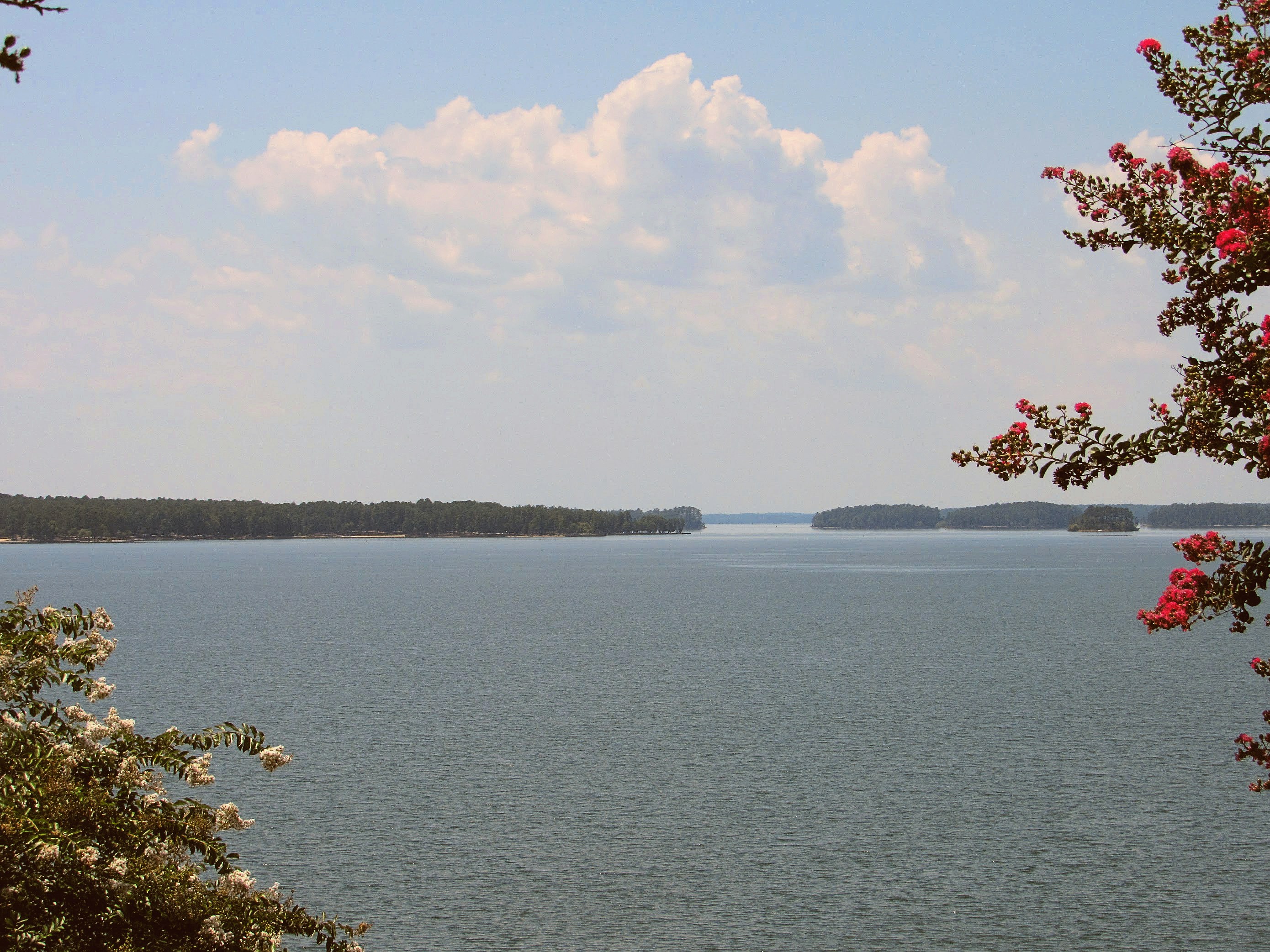 Lake Strom Thurmond Pictures Download Free Images on Unsplash