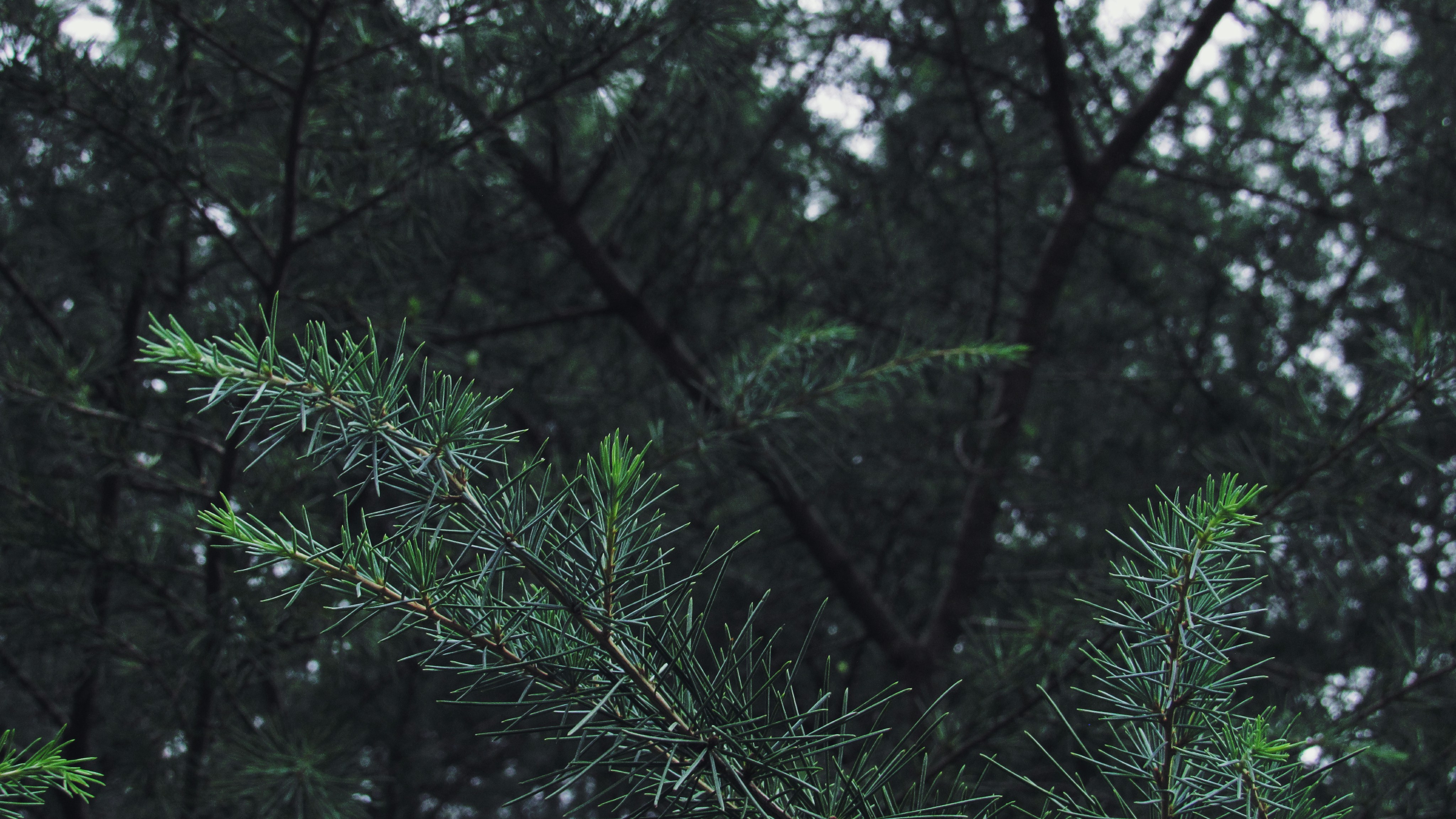 Photo by leiadakrozjhen